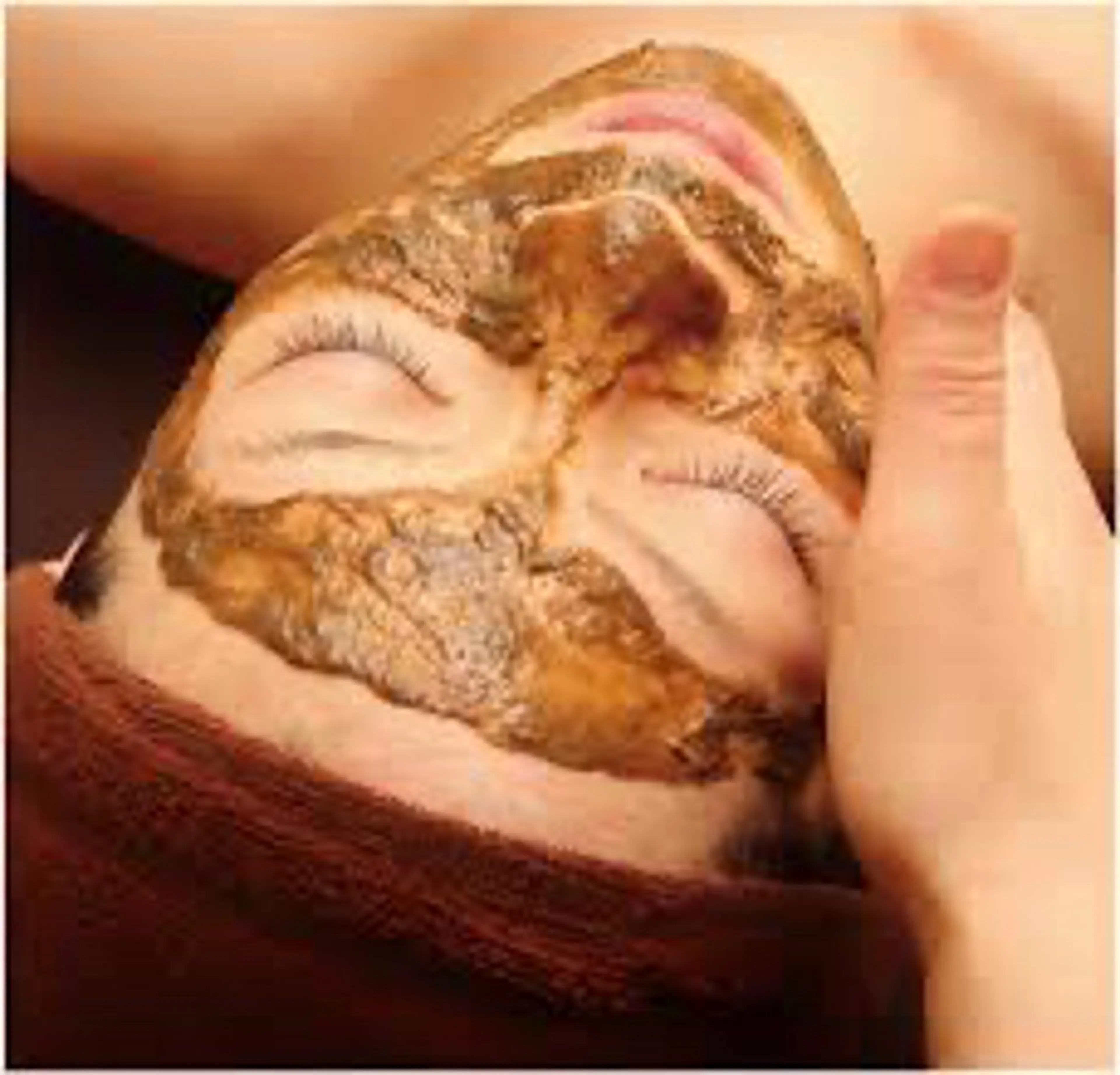 【 口コミ必須/メンズも歓迎⭐️ 】当日🆗 ハーブピーリング⭐️スピキュール100%ヒト幹細胞🌿剥離なし/着替え無しの写真