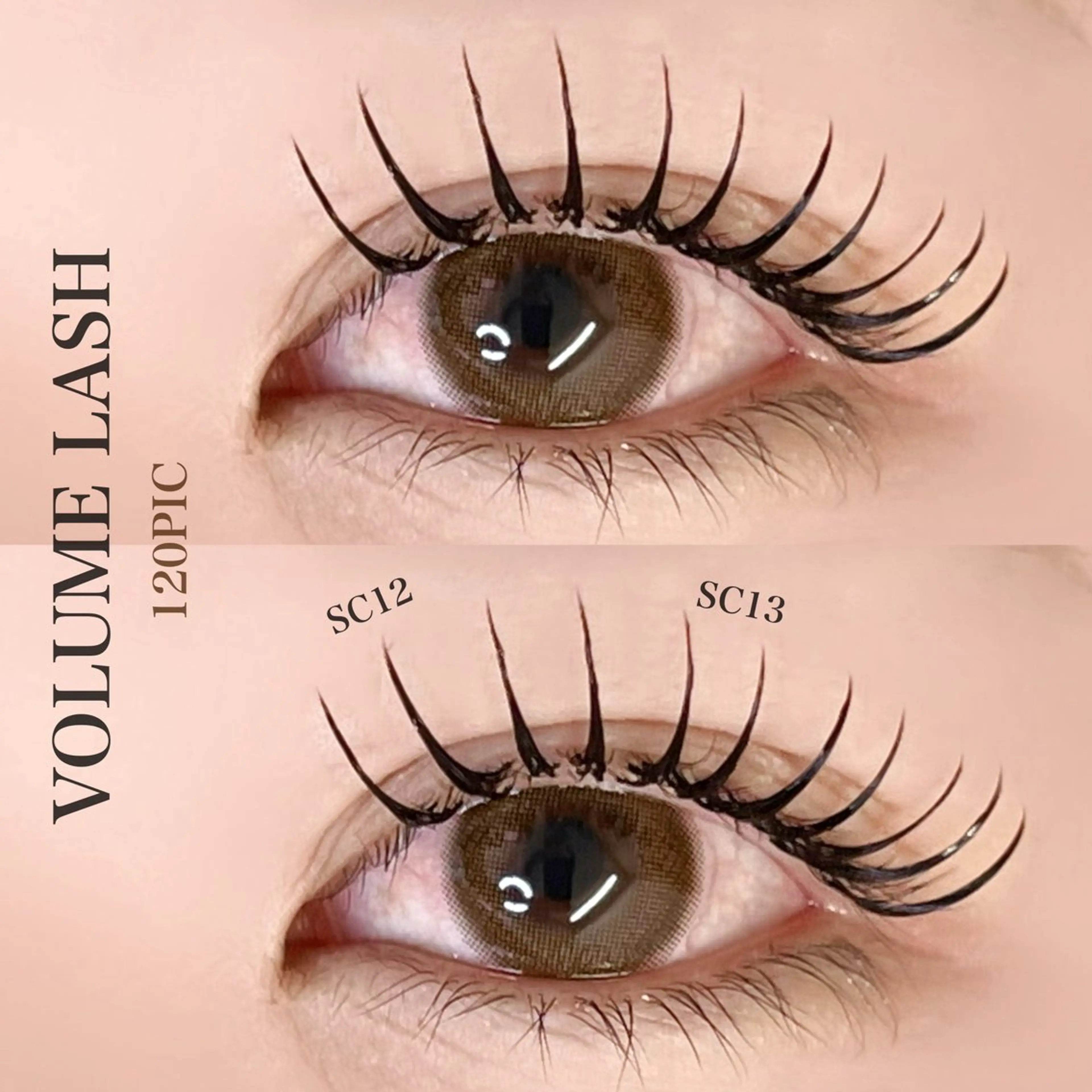 【🧡Volume lash  『120本』🧡】の写真