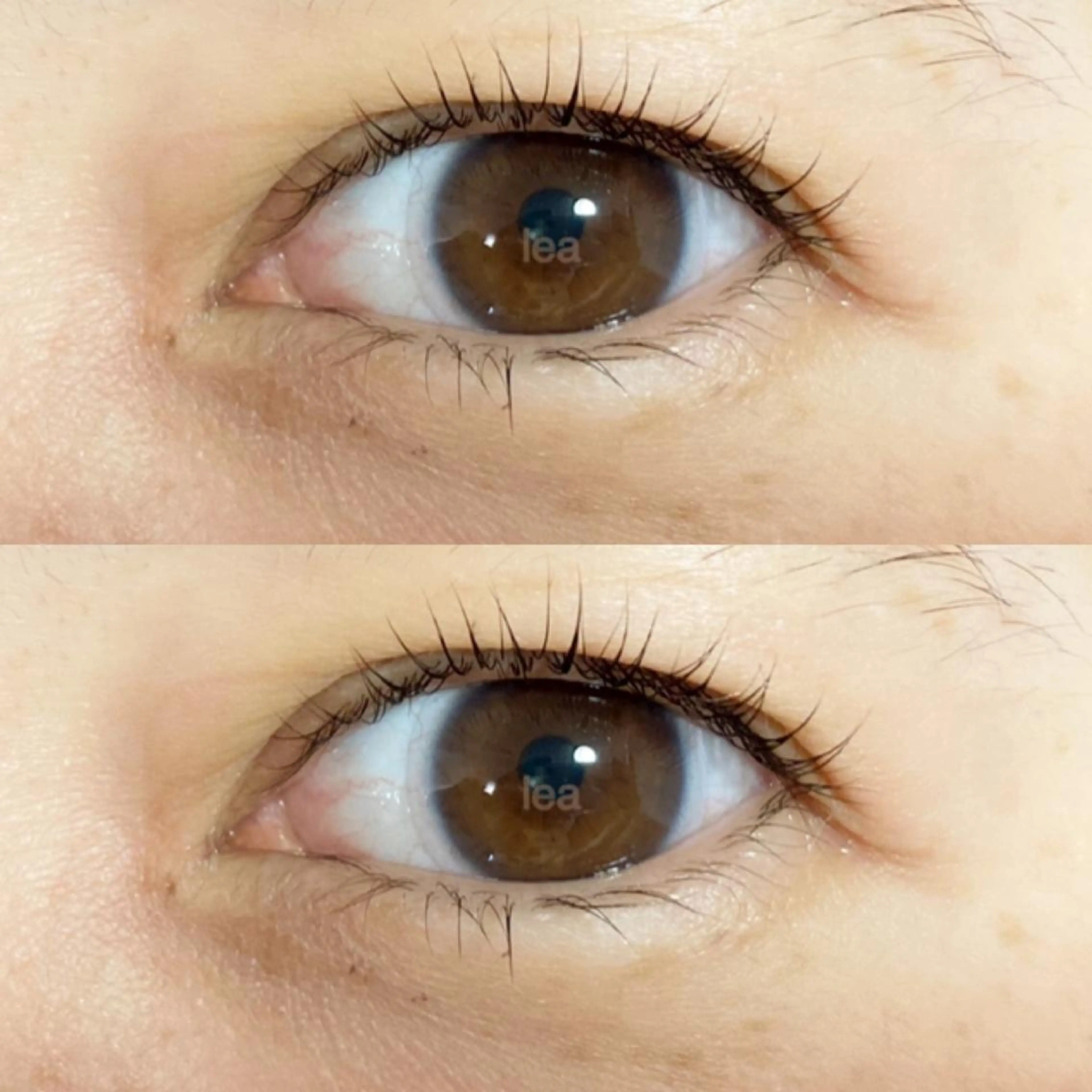 マツエク・マツパ パリジェンヌラッシュリフト eyelash leaのマツエク・マツパデザイン