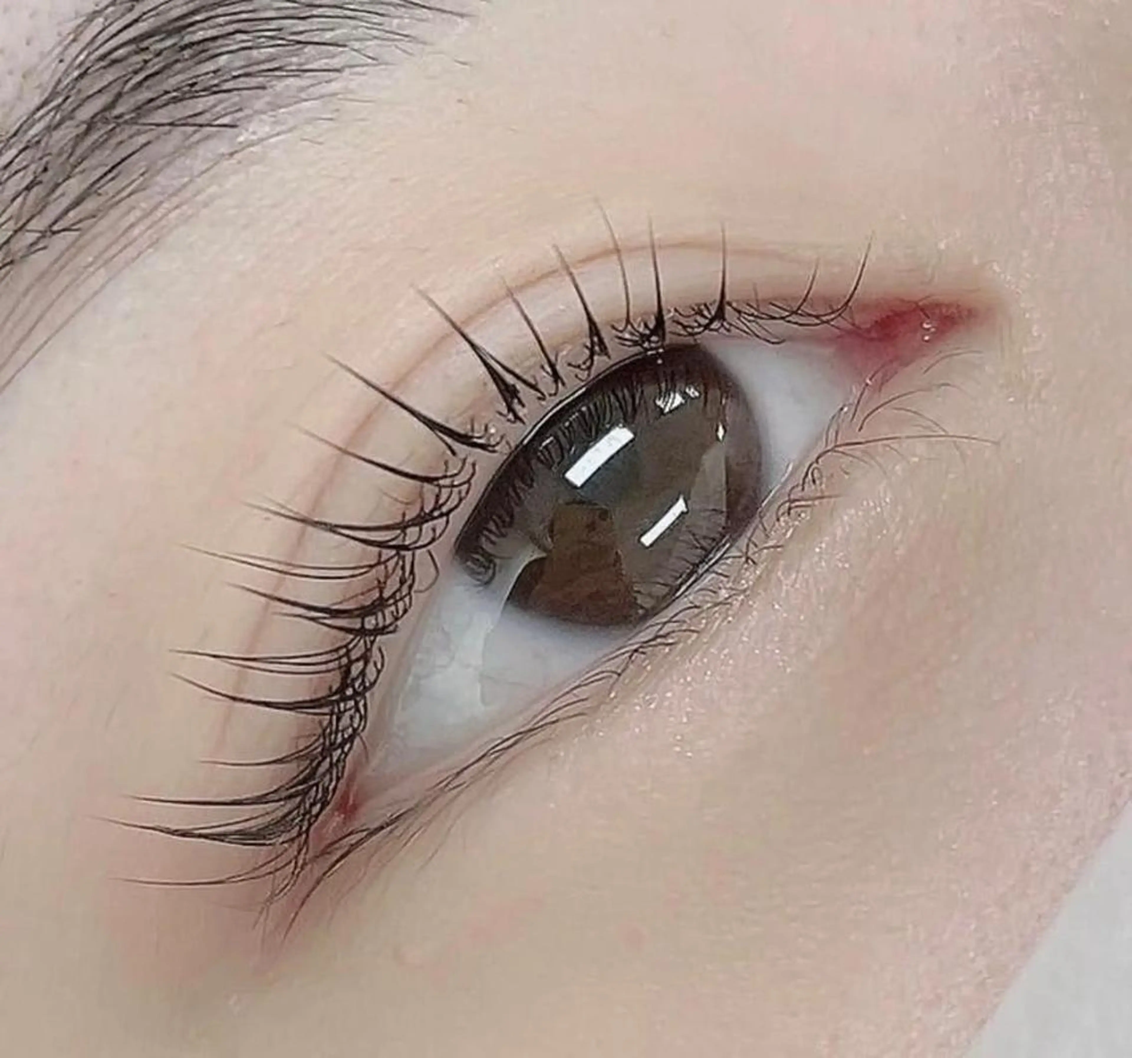 マツエク・マツパ マツパ まつげパーマ専門店 FOIのマツエク・マツパデザイン