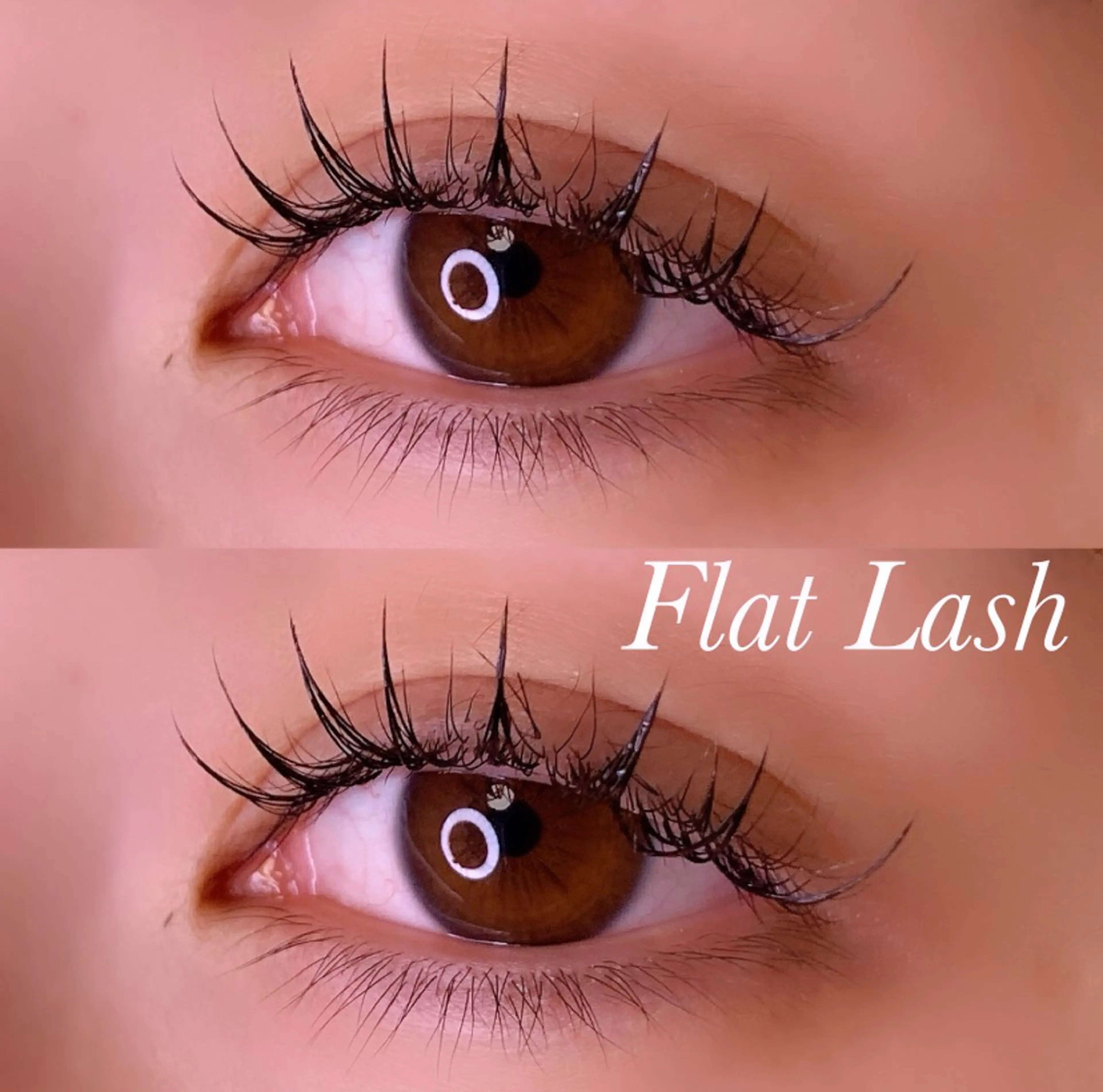 マツエク・マツパ Cカール フラットラッシュ マツエク Ayumi.pro 🍆N《4階》のマツエク・マツパデザイン