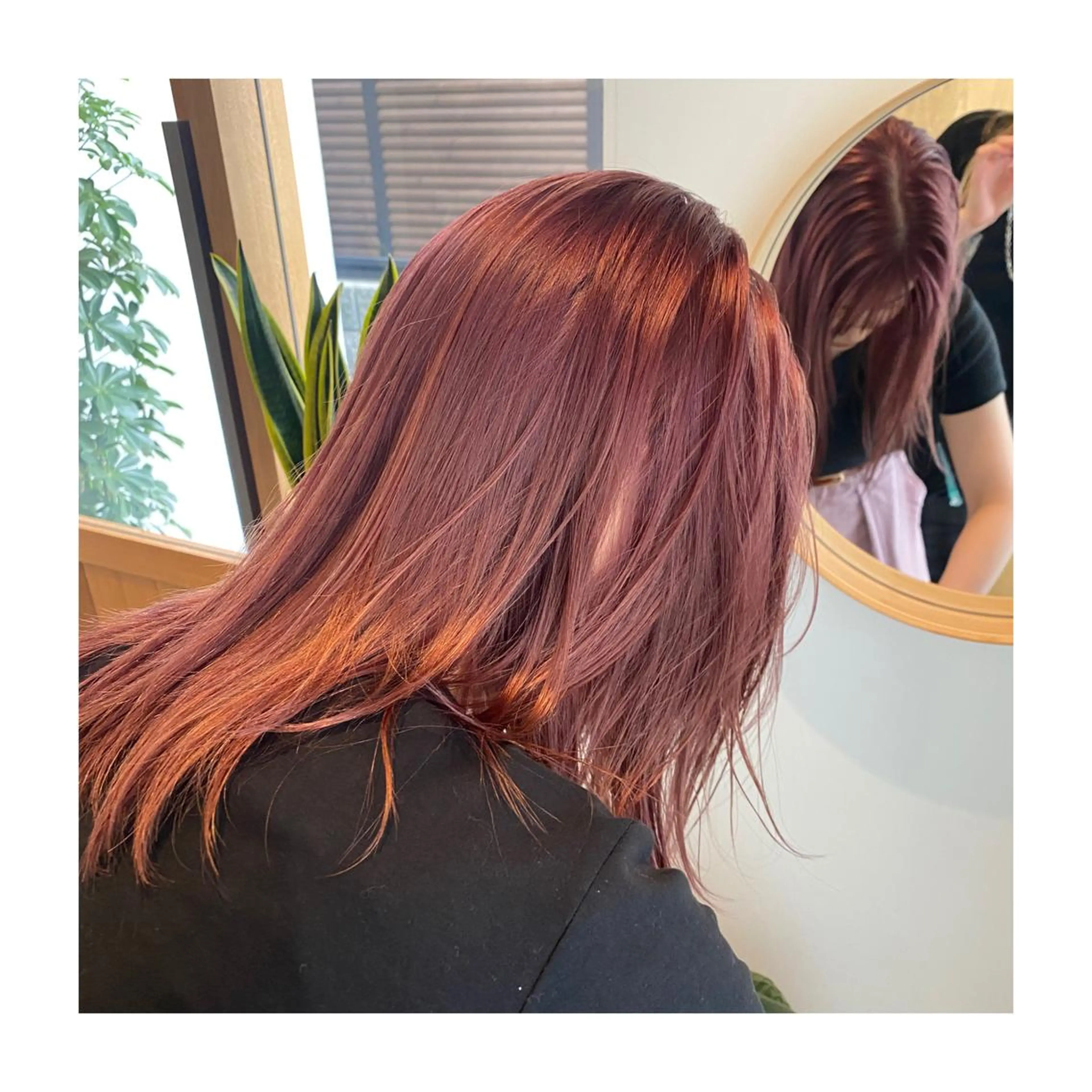 ミディアム 自信が持てるお目元に 🪽✨moemiのマツエク・マツパデザイン