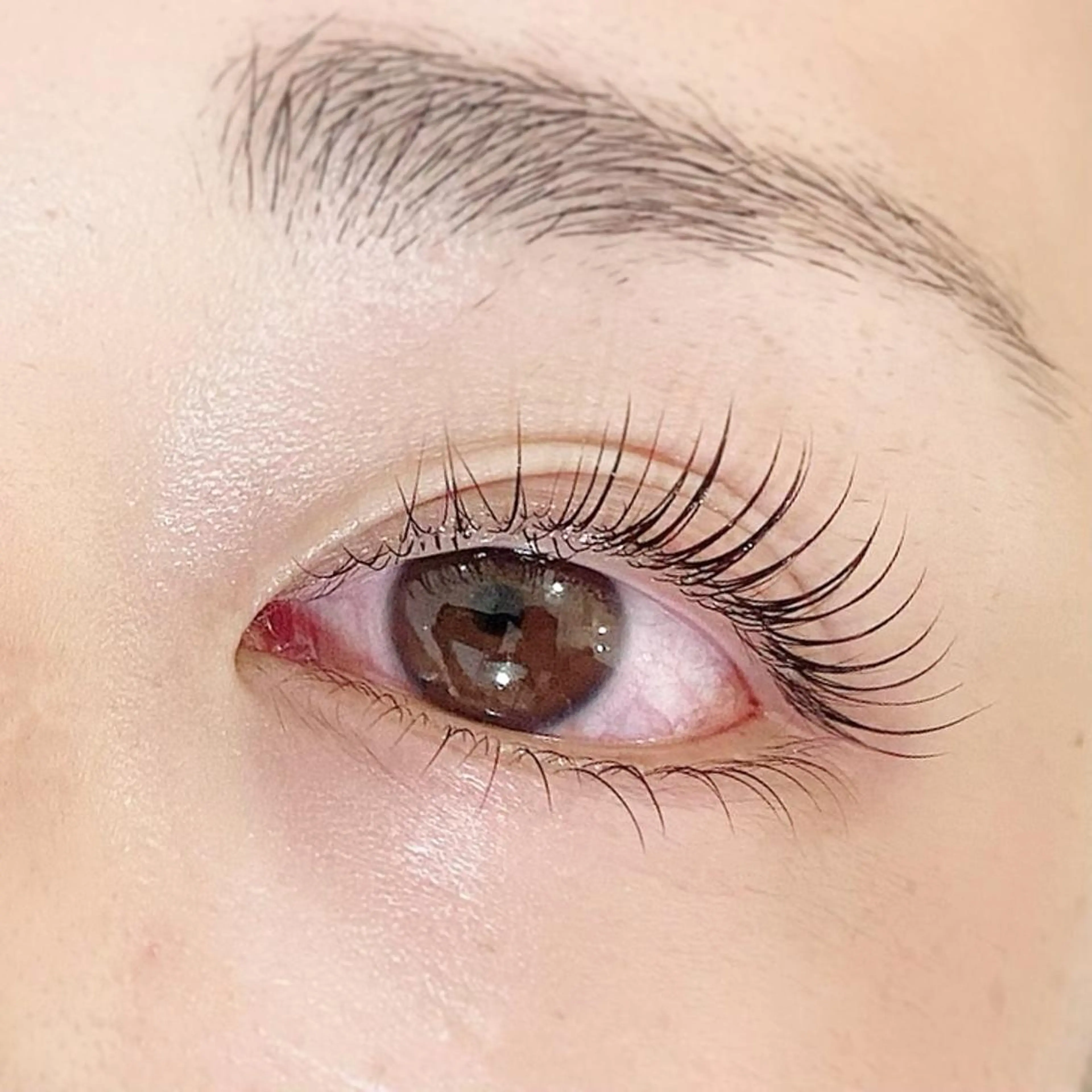 マツエク・マツパ ケラチンラッシュリフト Kaile. 恵比寿所属・kokubo suzuka 恵比寿のマツエク・マツパデザイン