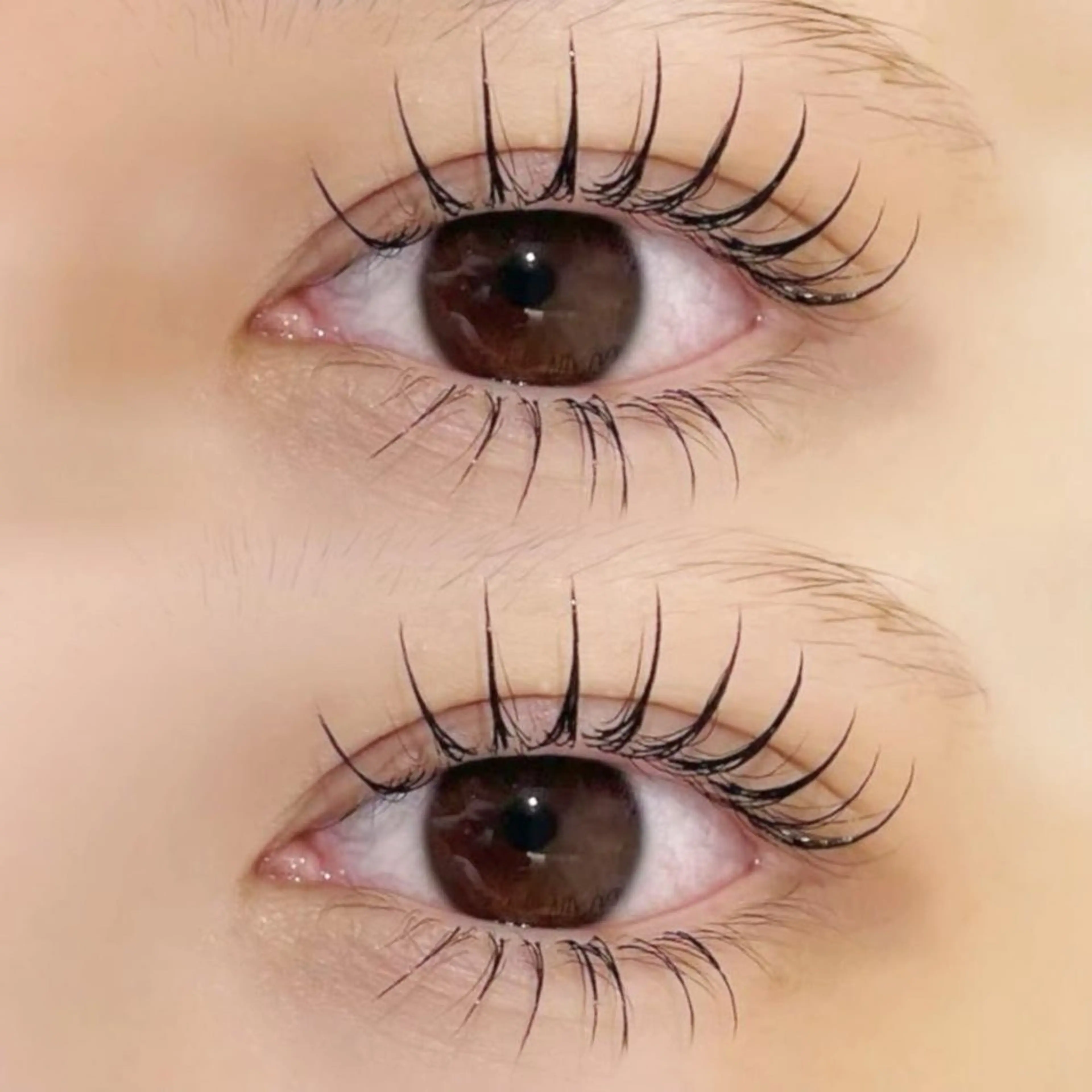 マツエク・マツパ Raviy福岡店所属・eye_ rinaෆ˚*のマツエク・マツパデザイン