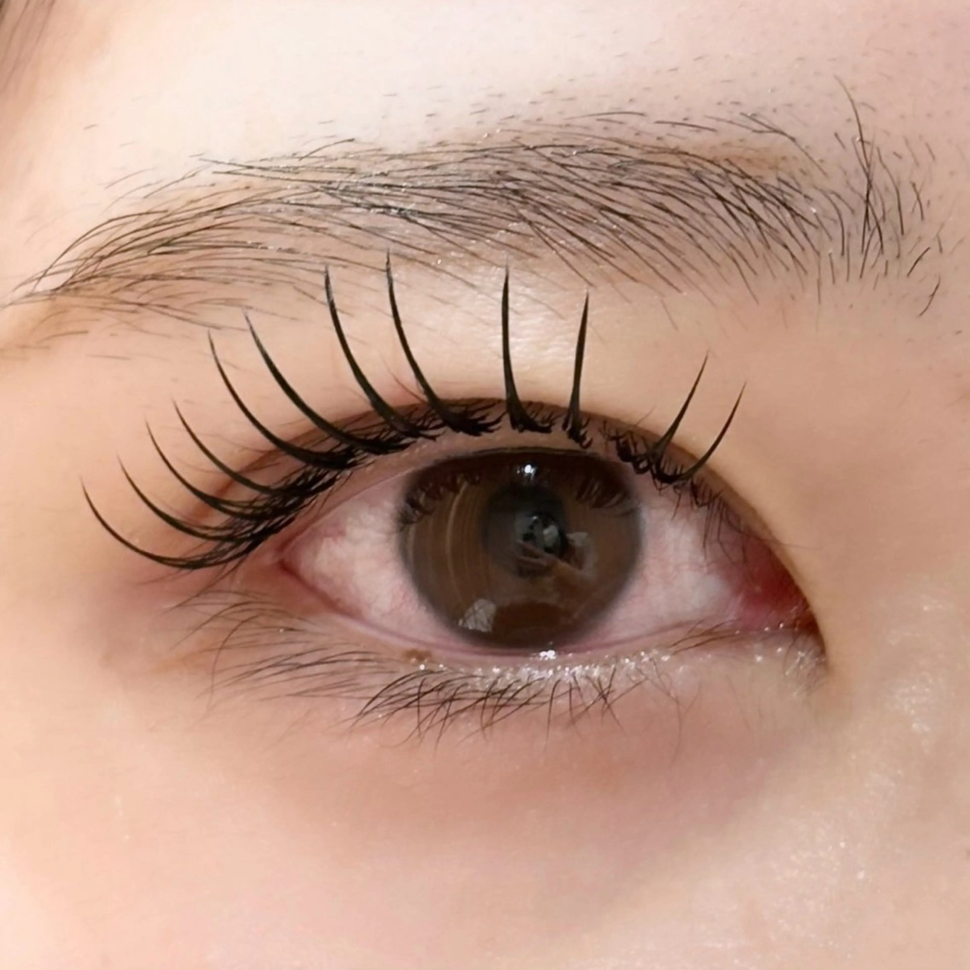 ♡アンドヘルシー120本（パリエク最新版）♡束感コーティング付き！の写真