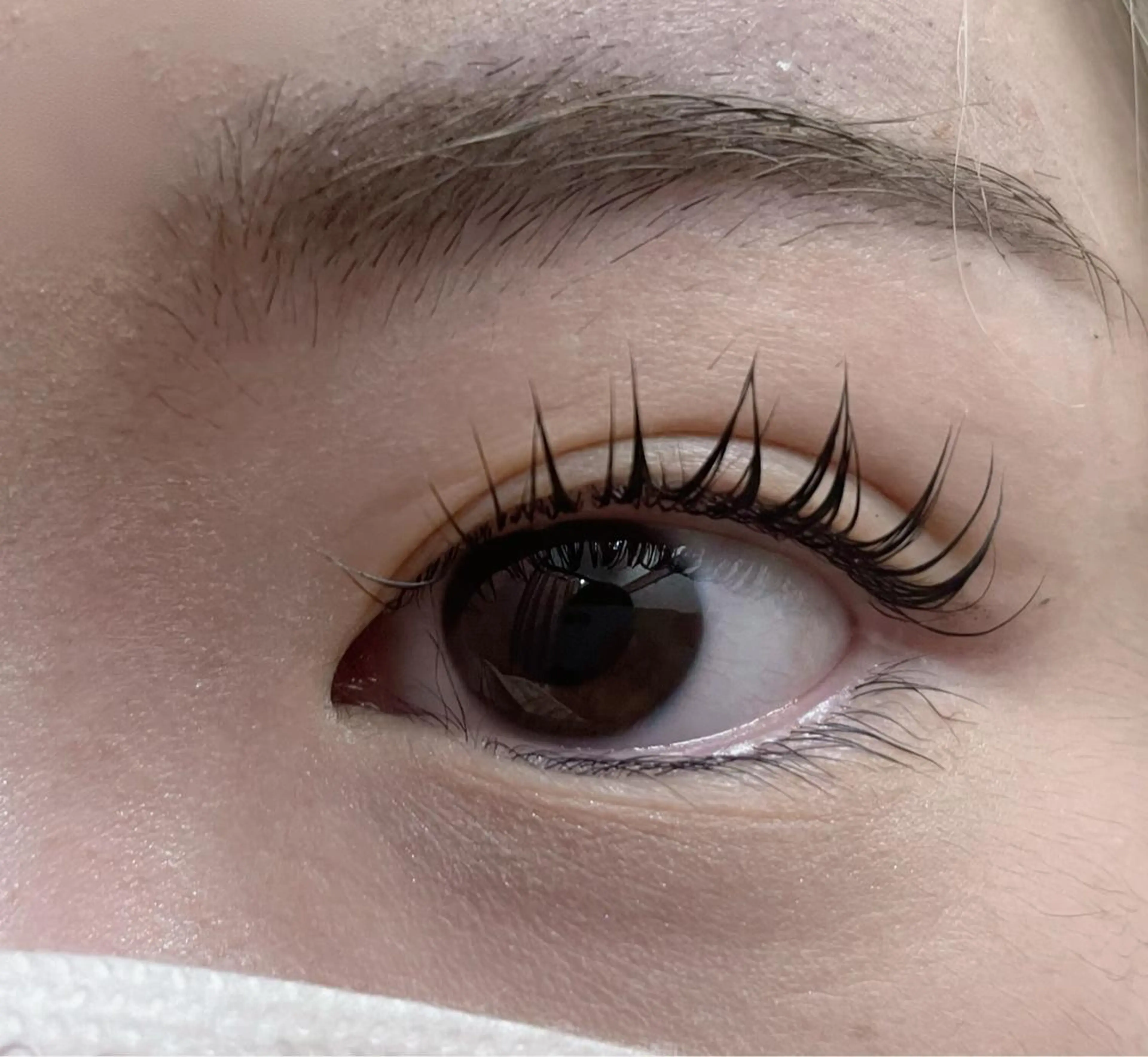 【全員漫画デザイン】次世代まつげパーマ、パリジェンヌラッシュ、の写真