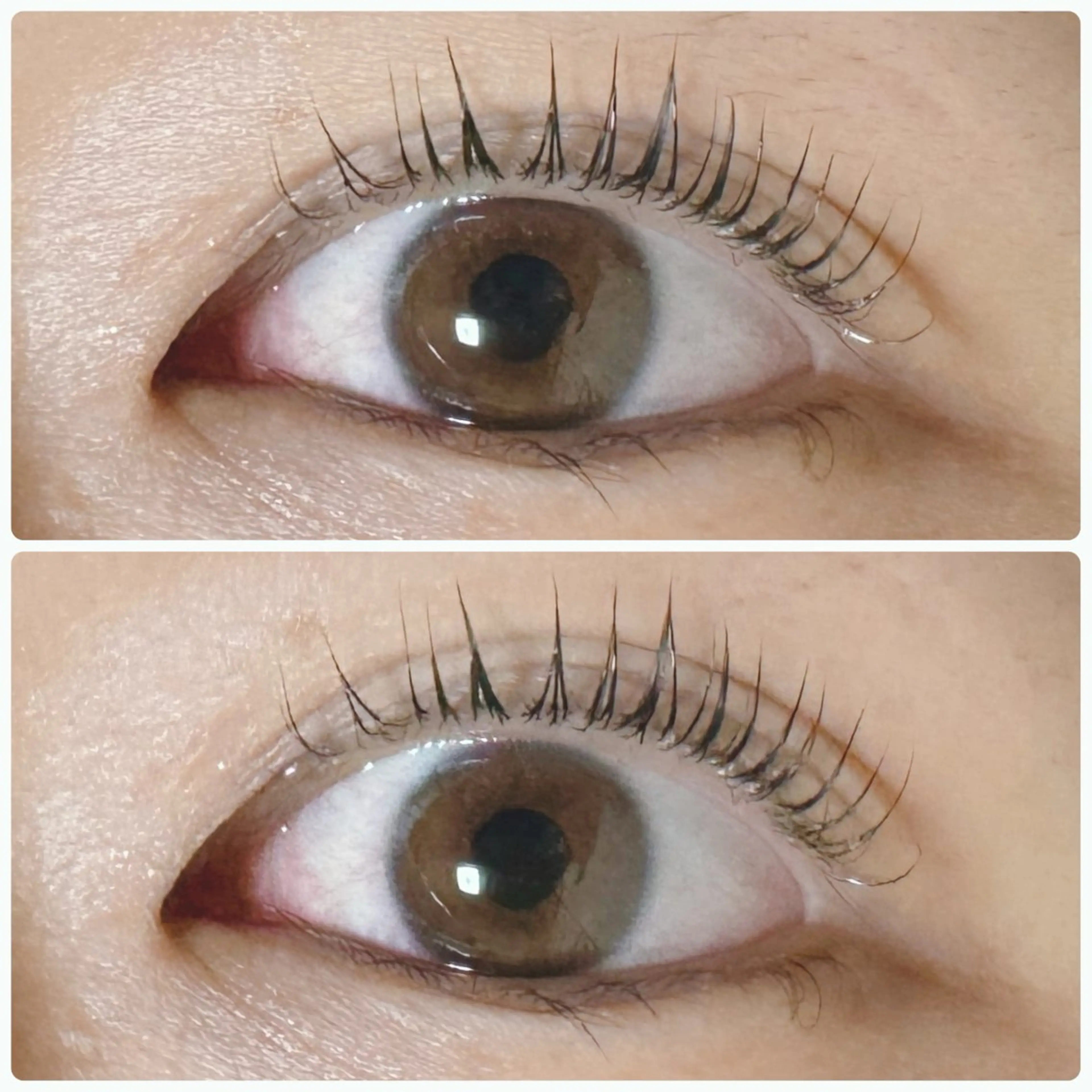 ラッシュリフトの写真