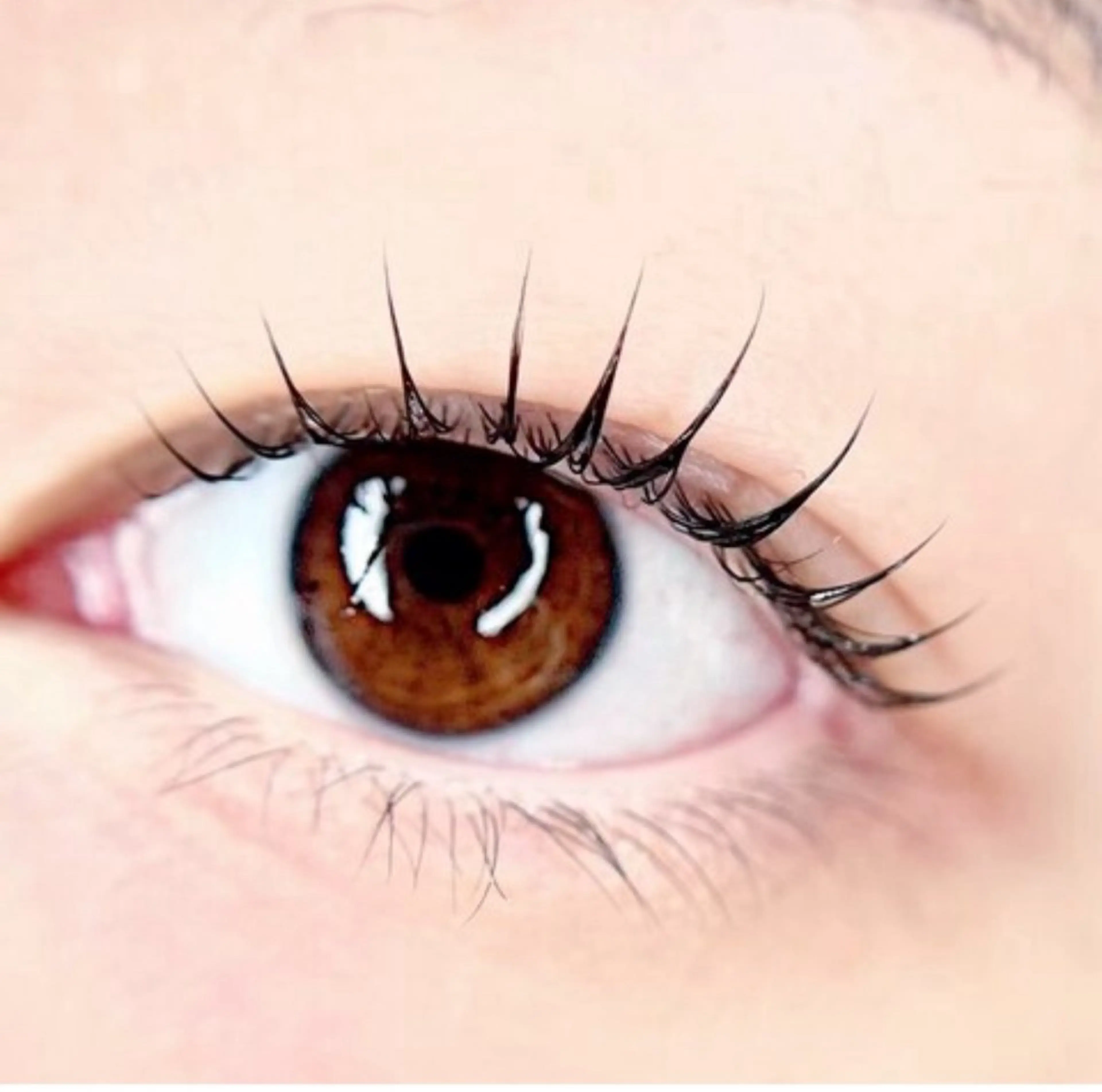 パリジェンヌラッシュリフトの写真