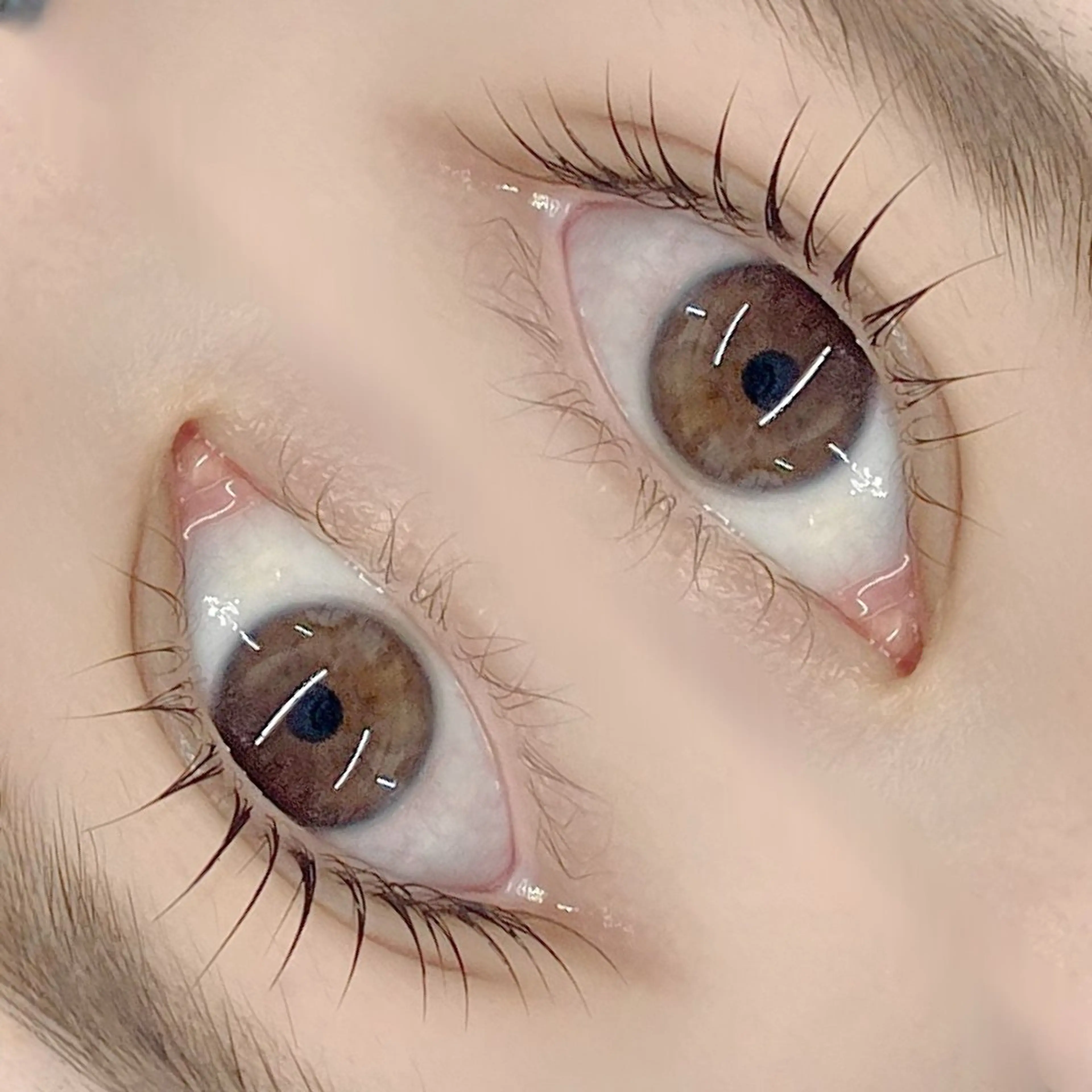 マツエク・マツパ フジ ワラのマツエク・マツパデザイン