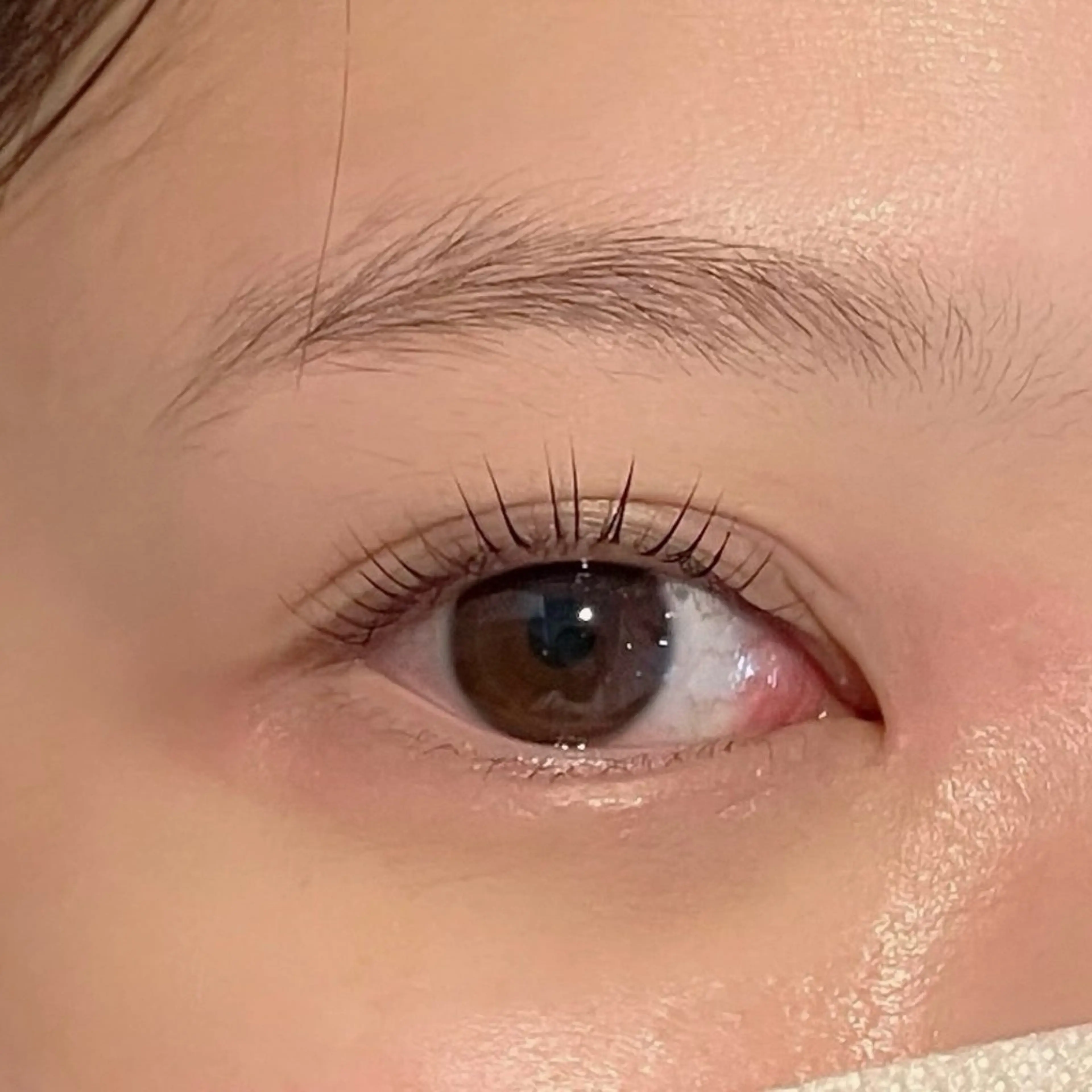 🧸練習モデル様🧸まつげパーマ⭐️の写真