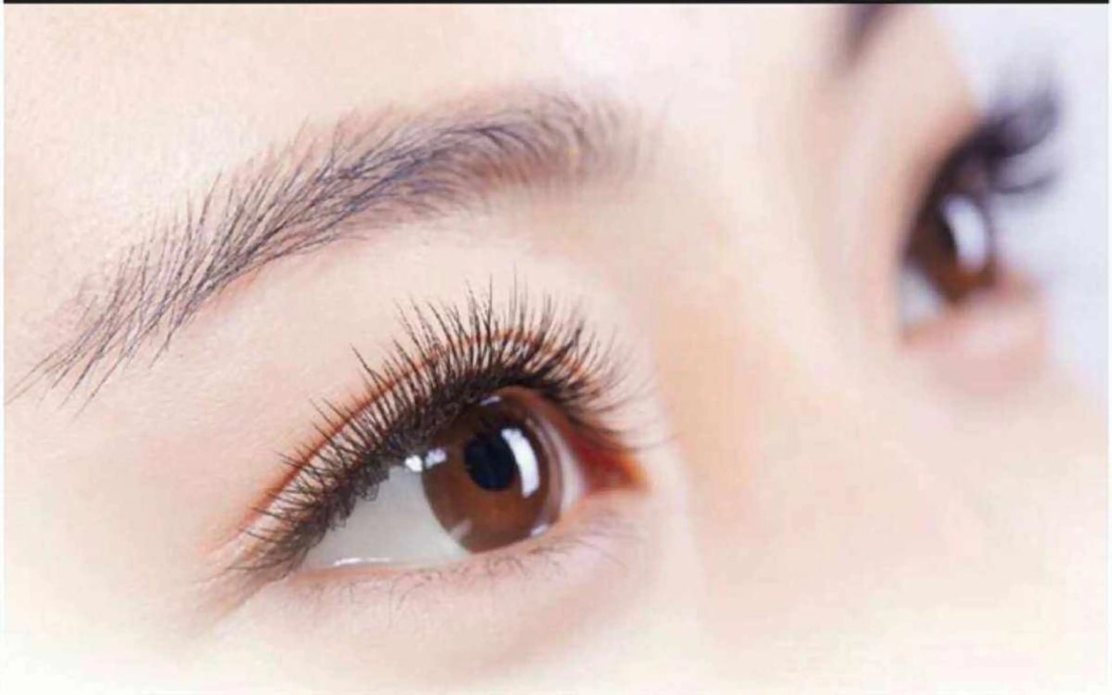 マツエク・マツパ Lemon 小岩店のマツエク・マツパデザイン