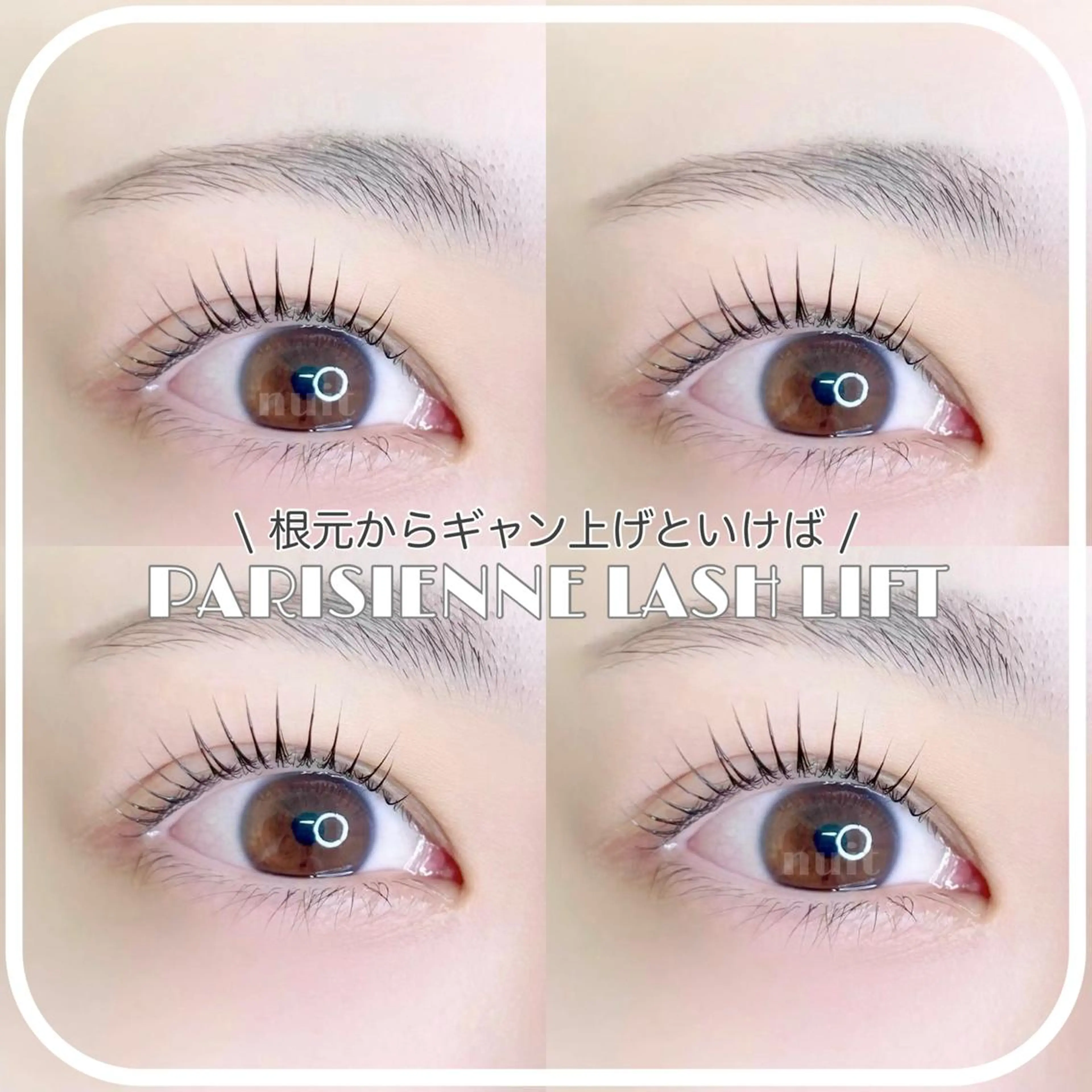 マツエク・マツパ パリジェンヌラッシュリフト eyelash  salon  nuit【ニュイ】所属・nuit 【ニュイ】 大宮 /　yucaのマツエク・マツパデザイン
