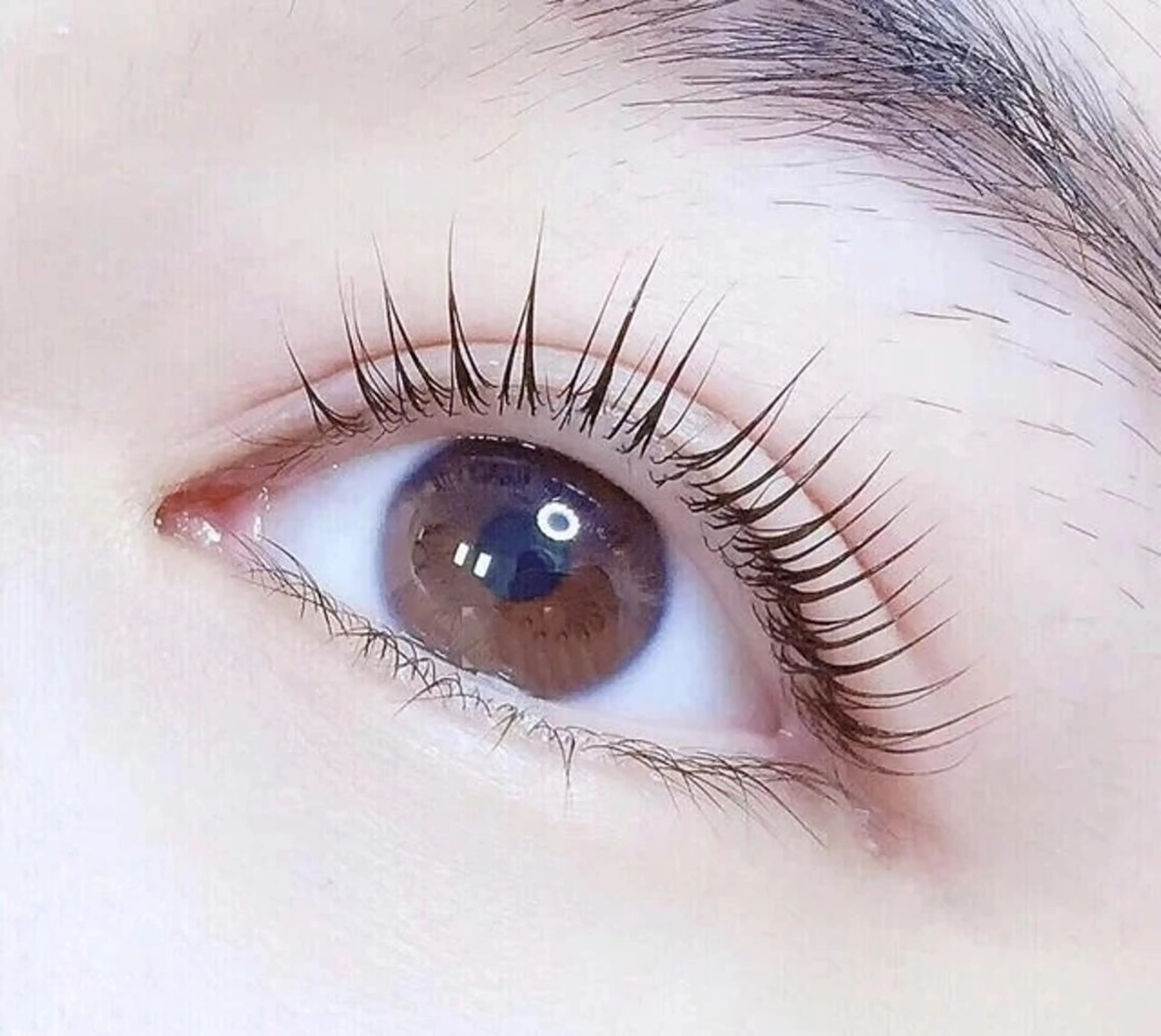 パリジェンヌ上＋したまつ毛30本お得セットの写真