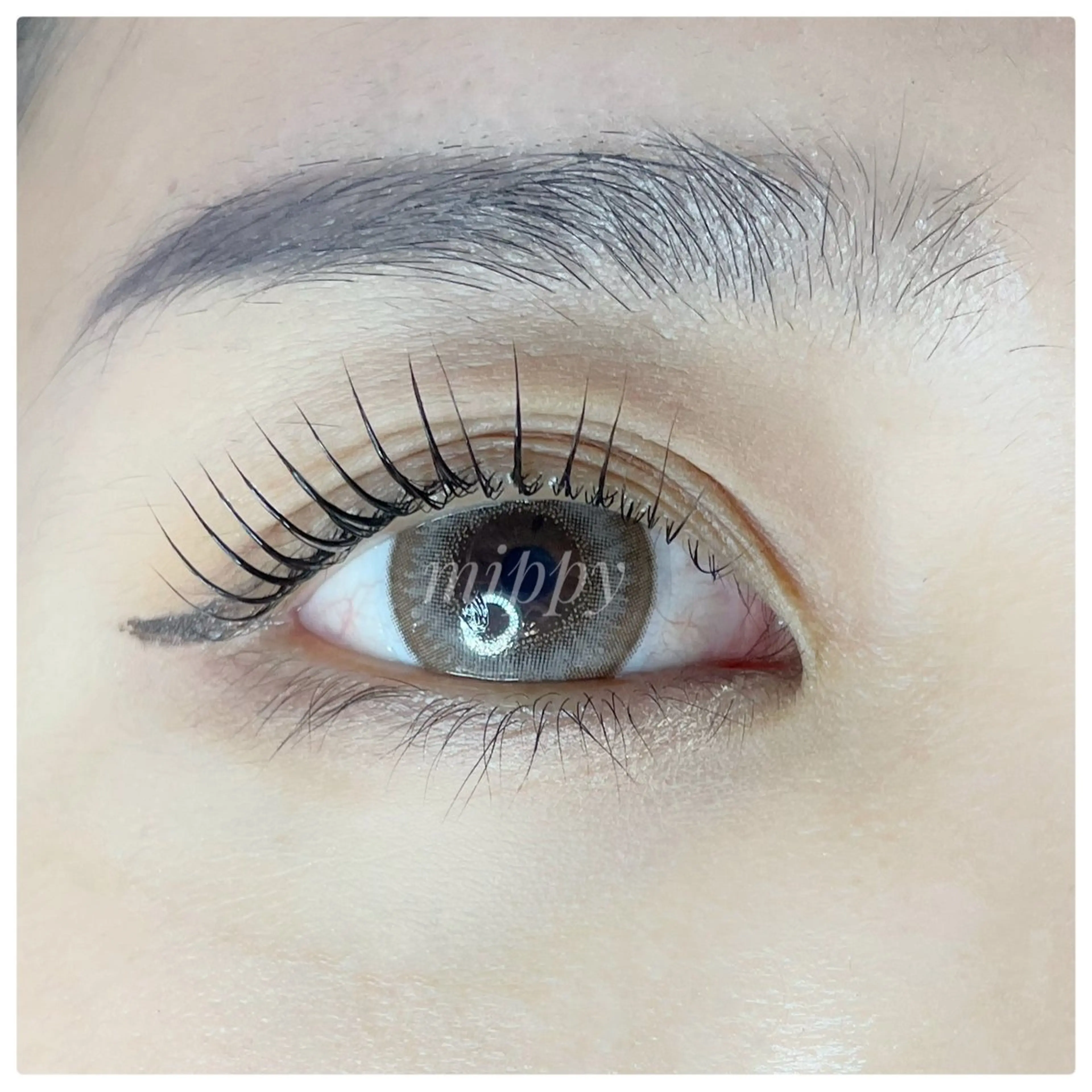 マツエク・マツパ ｍｉｐｐｙ 🪽のマツエク・マツパデザイン