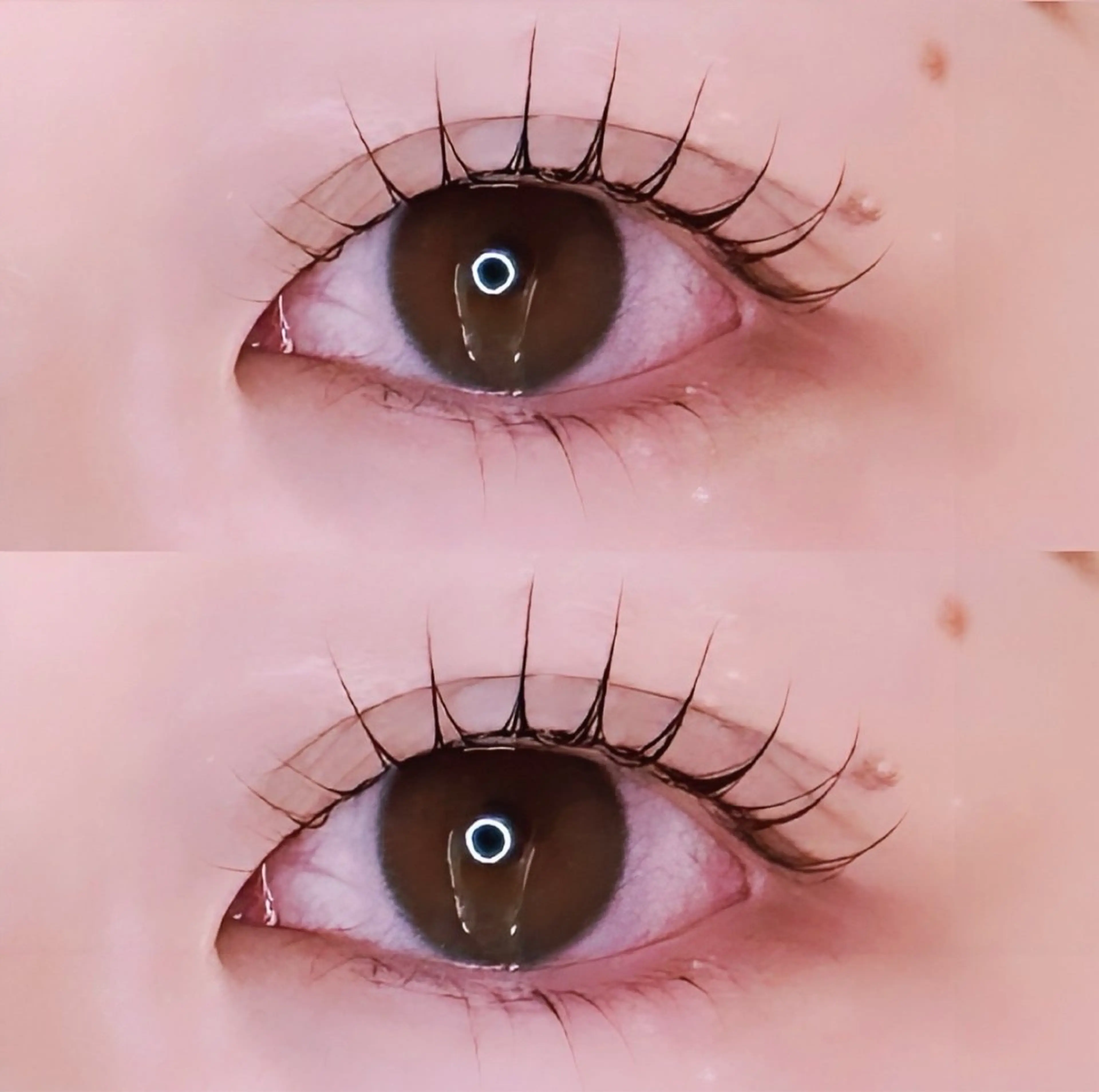 マツエク・マツパ マツパ fein.aoi🎀 🤍のマツエク・マツパデザイン