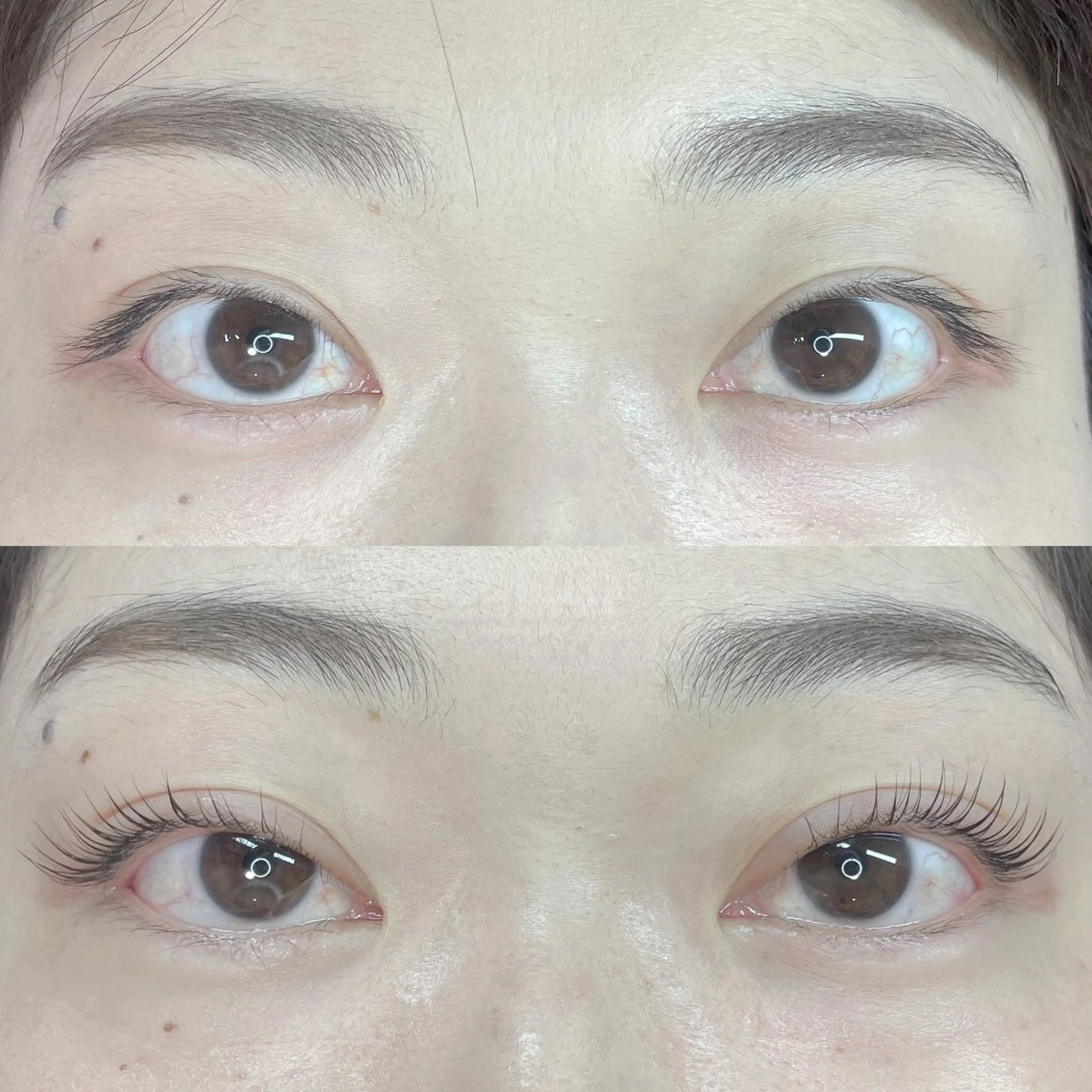 マツエク・マツパ マツパ 𝕁𝔼𝕃𝕃𝕐 𝕃𝔸𝕊ℍのマツエク・マツパデザイン