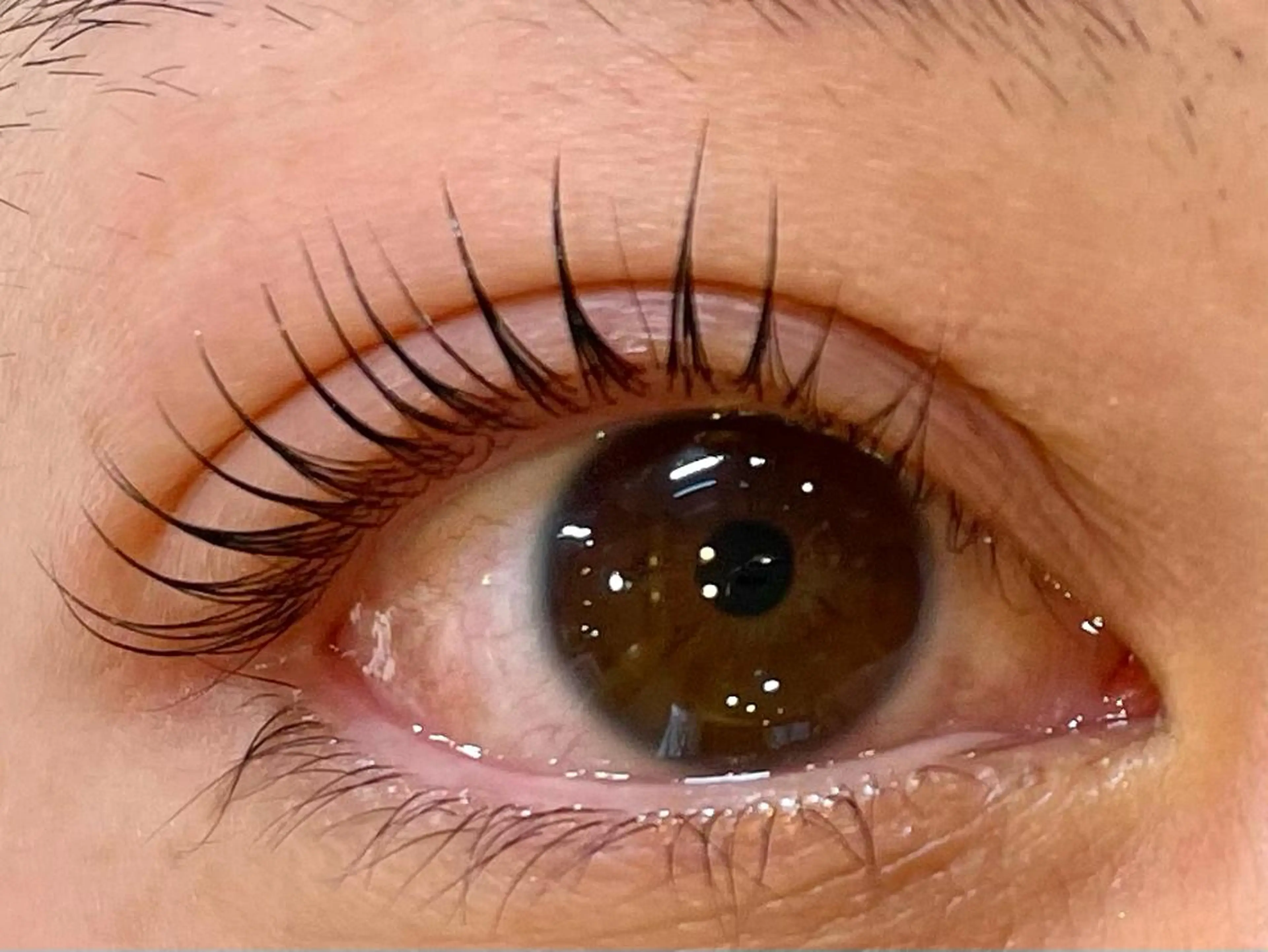 マツエク・マツパ まつげパーマ Allma 横浜のマツエク・マツパデザイン