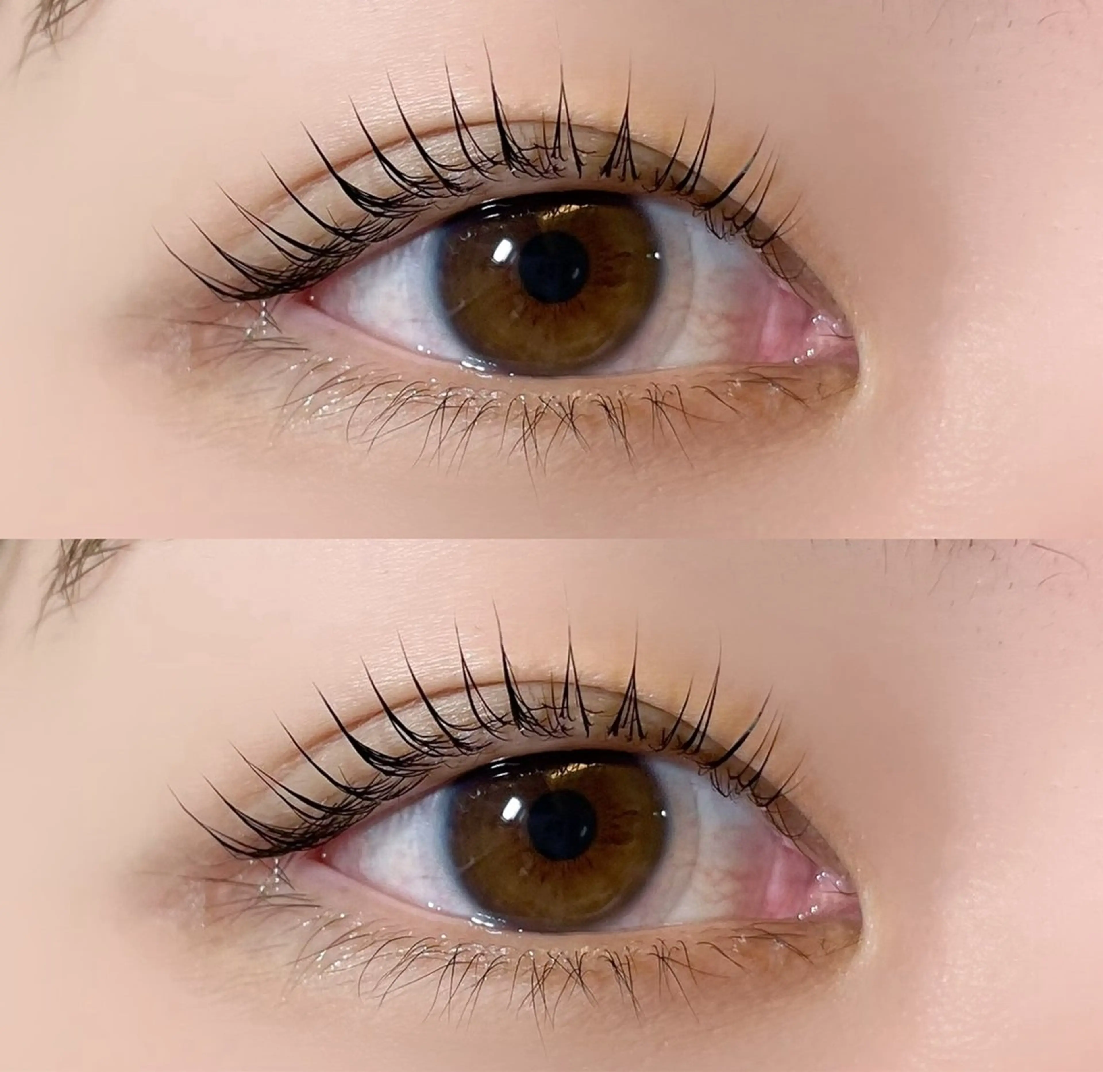 マツエク・マツパ マツパ 🧡MISUZU 京都Two🧡のマツエク・マツパデザイン