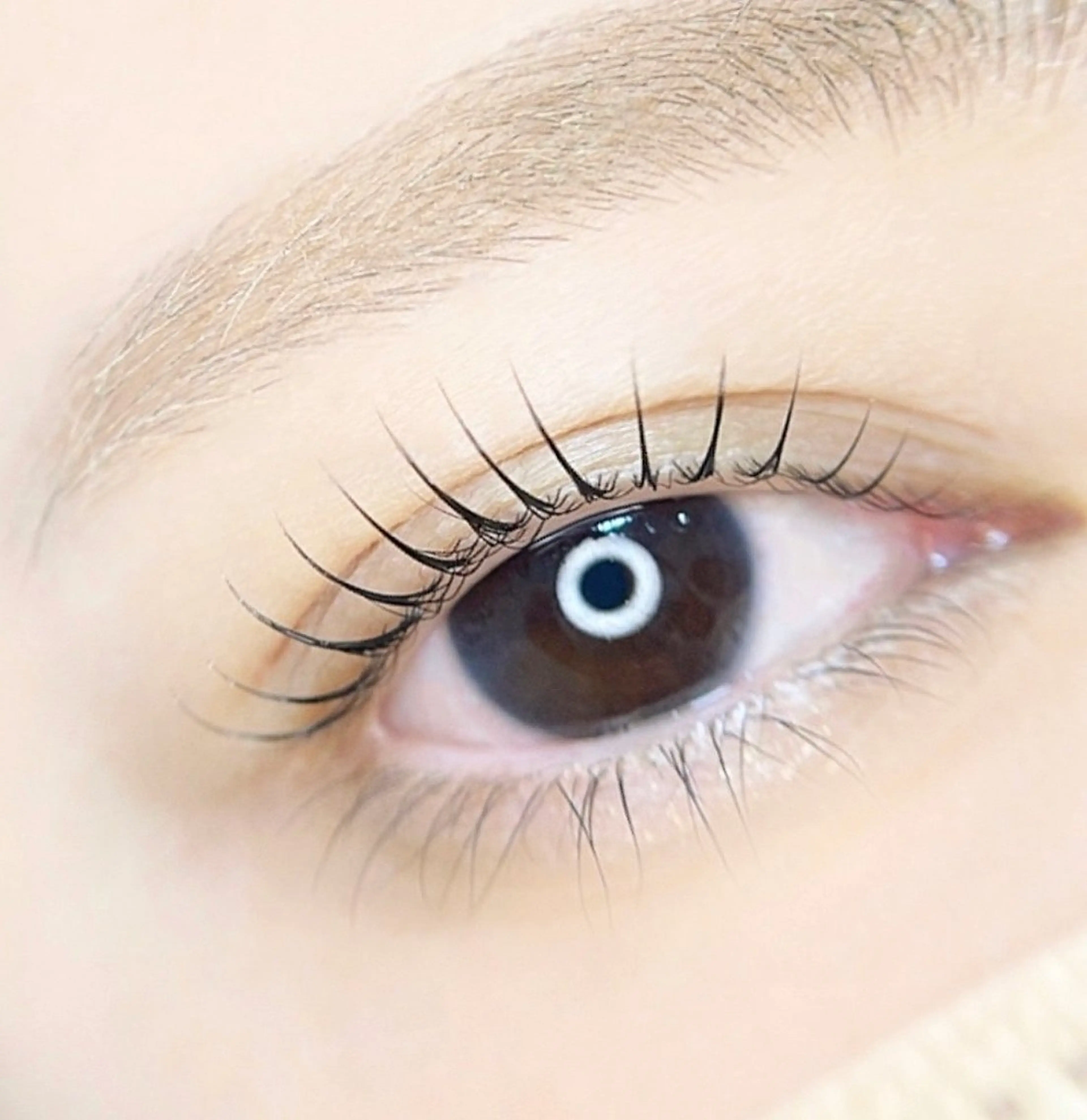 ラッシュリフト/カールの写真