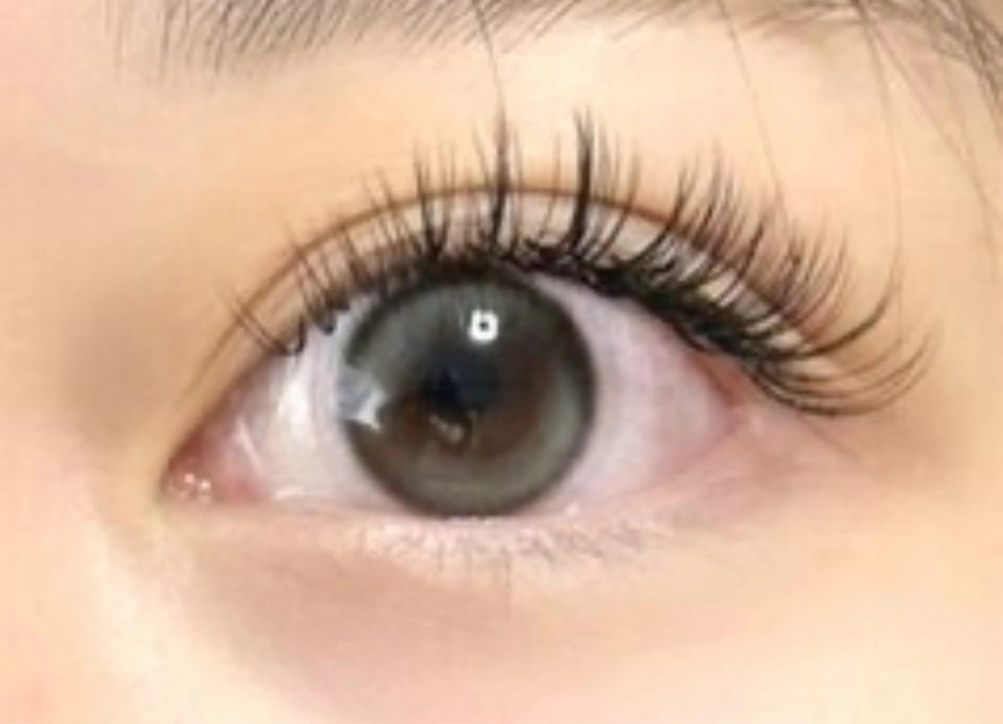 ボリューム＆束感！ダブルフラットラッシュ　80束160本/当店オフ込の写真