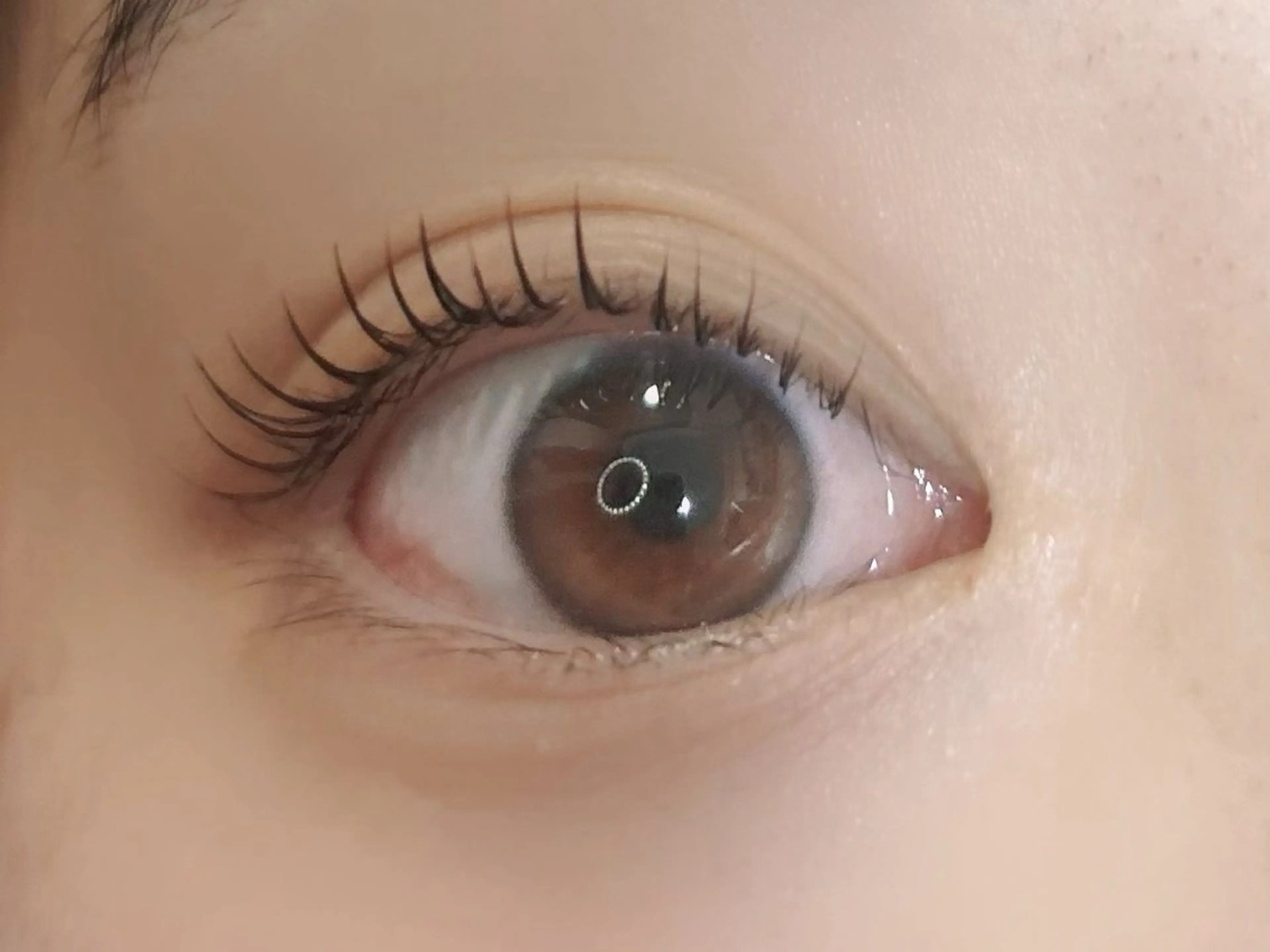 マツエク・マツパ Melia Chieのマツエク・マツパデザイン