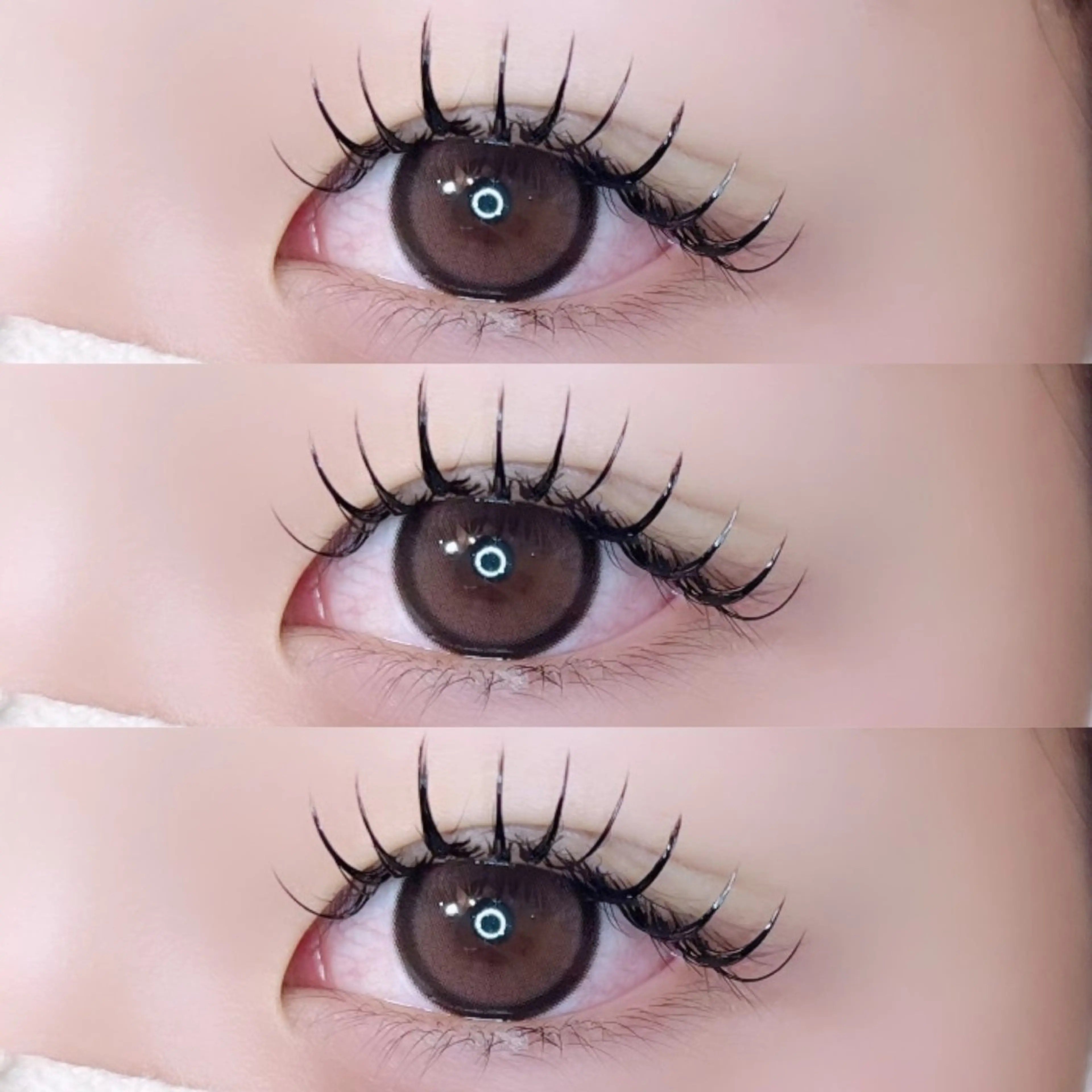 フラットラッシュ100本の写真