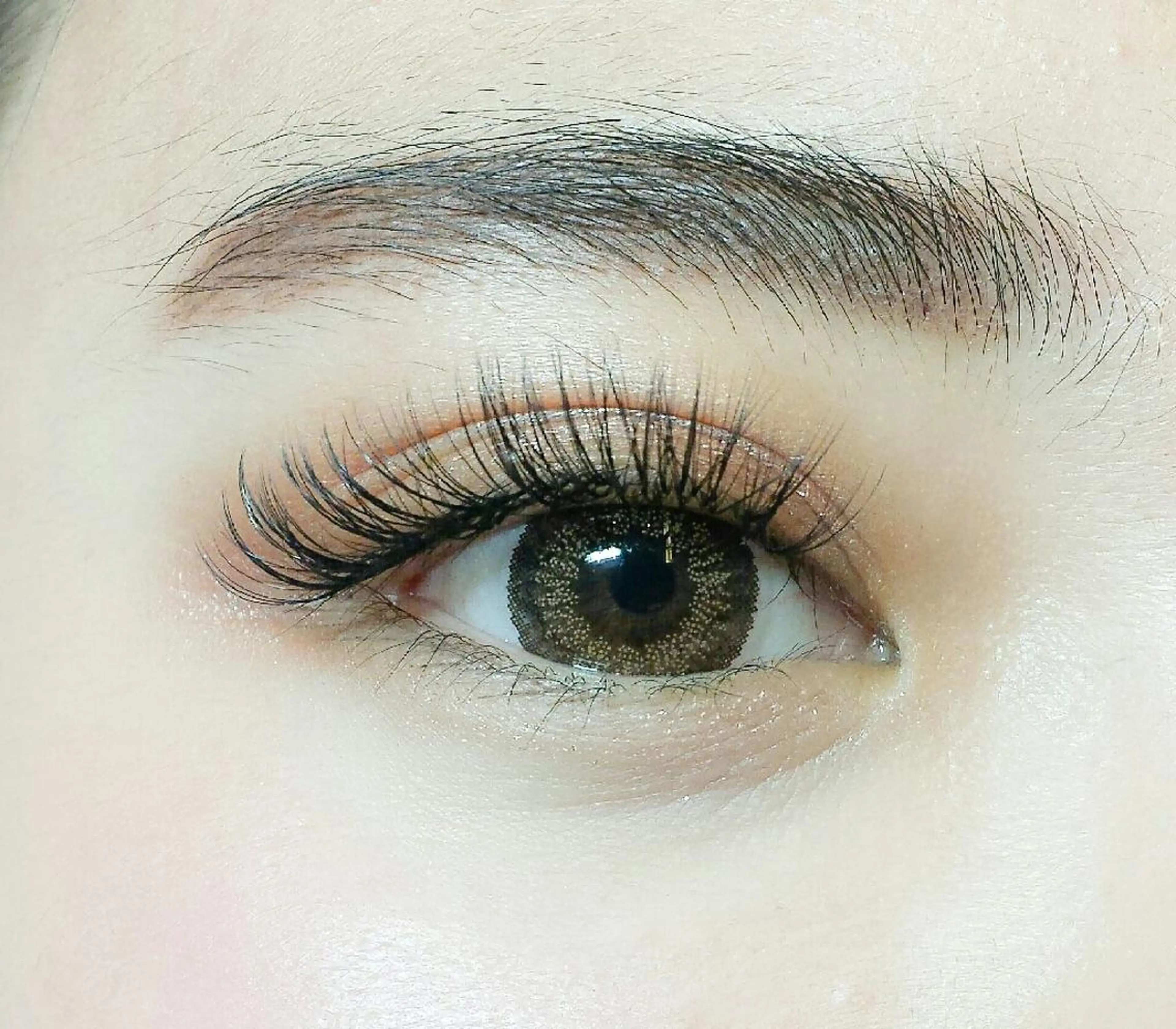 マツエク・マツパ Cカール ボリュームラッシュ アイラッシュ コペル【Copel】所属・個室サロンcopel 　kishimotoのマツエク・マツパデザイン