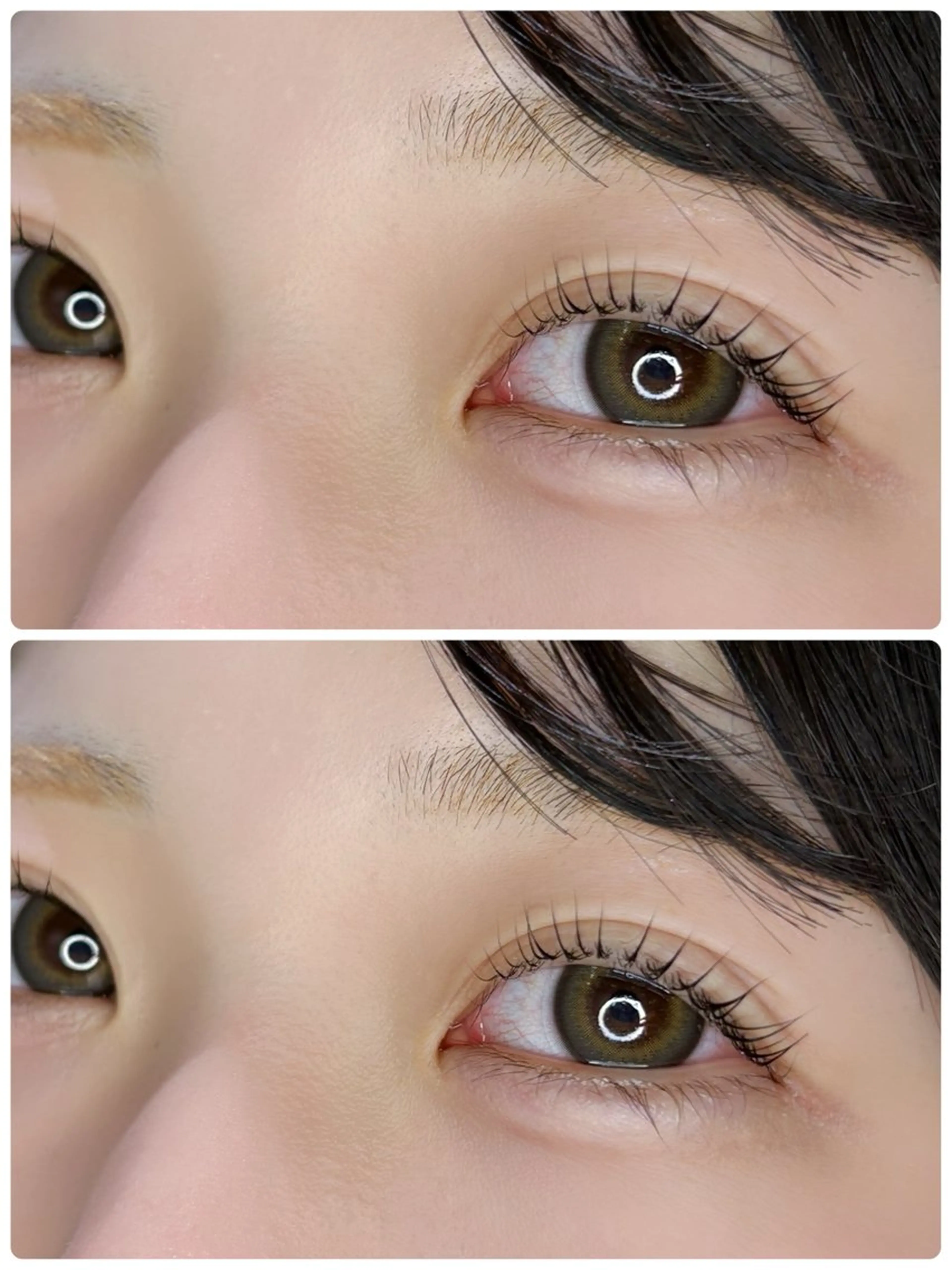 【12月6.9日限定🫧】❄️パリジェンヌラッシュリフト(コーティング仕上げ)❄️の写真