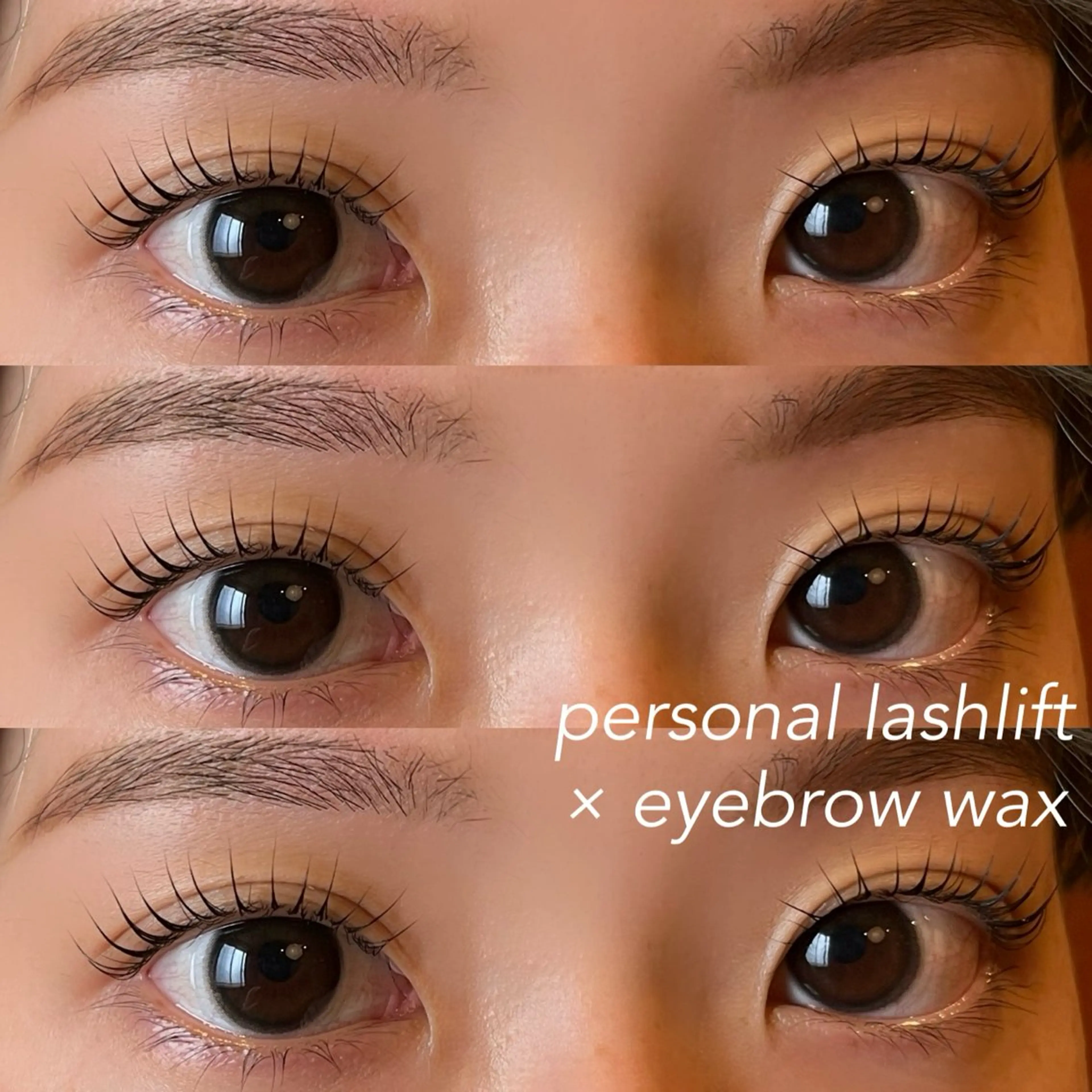 《初回限定》ラッシュリフトorパリジェンヌ＋アイブロウwax🧸(間引き付き)の写真