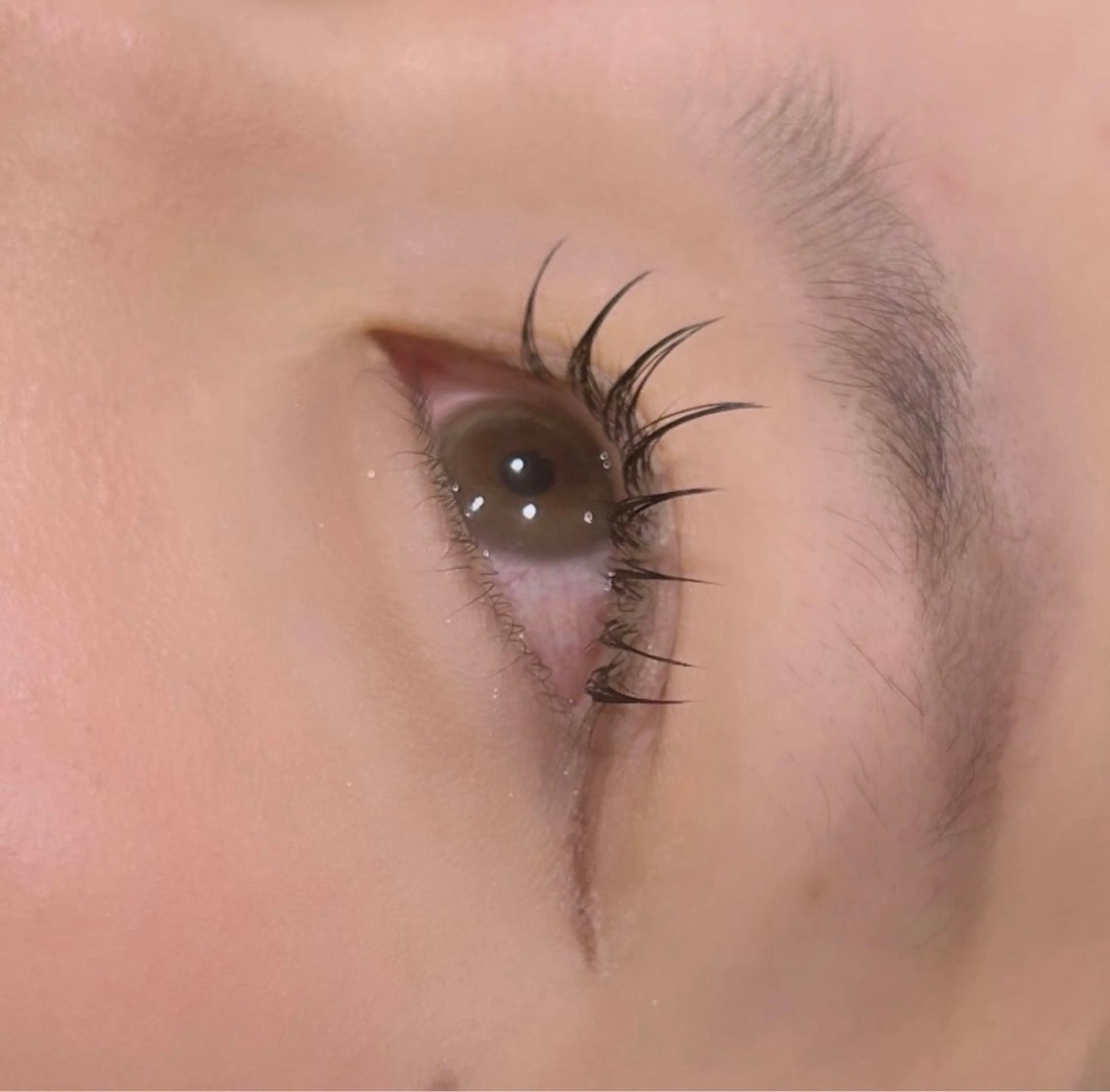 マツエク・マツパ マツエク hair&eye🎀 /momoKaのマツエク・マツパデザイン