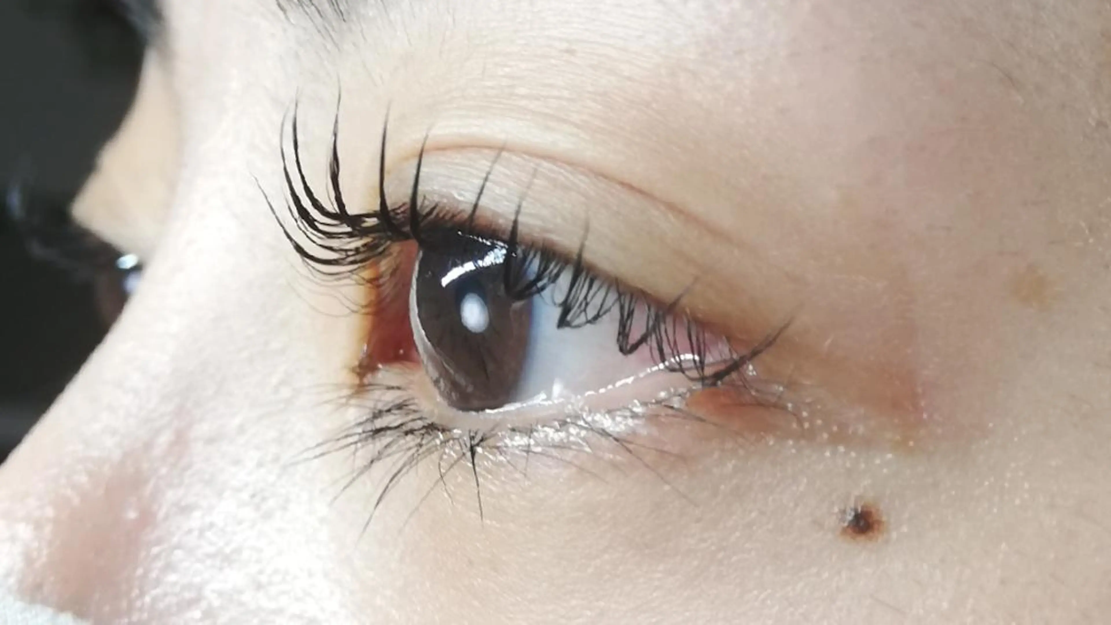 マツエク・マツパ angelux 所属・完全個室サロン🌹 angelux🌹のマツエク・マツパデザイン