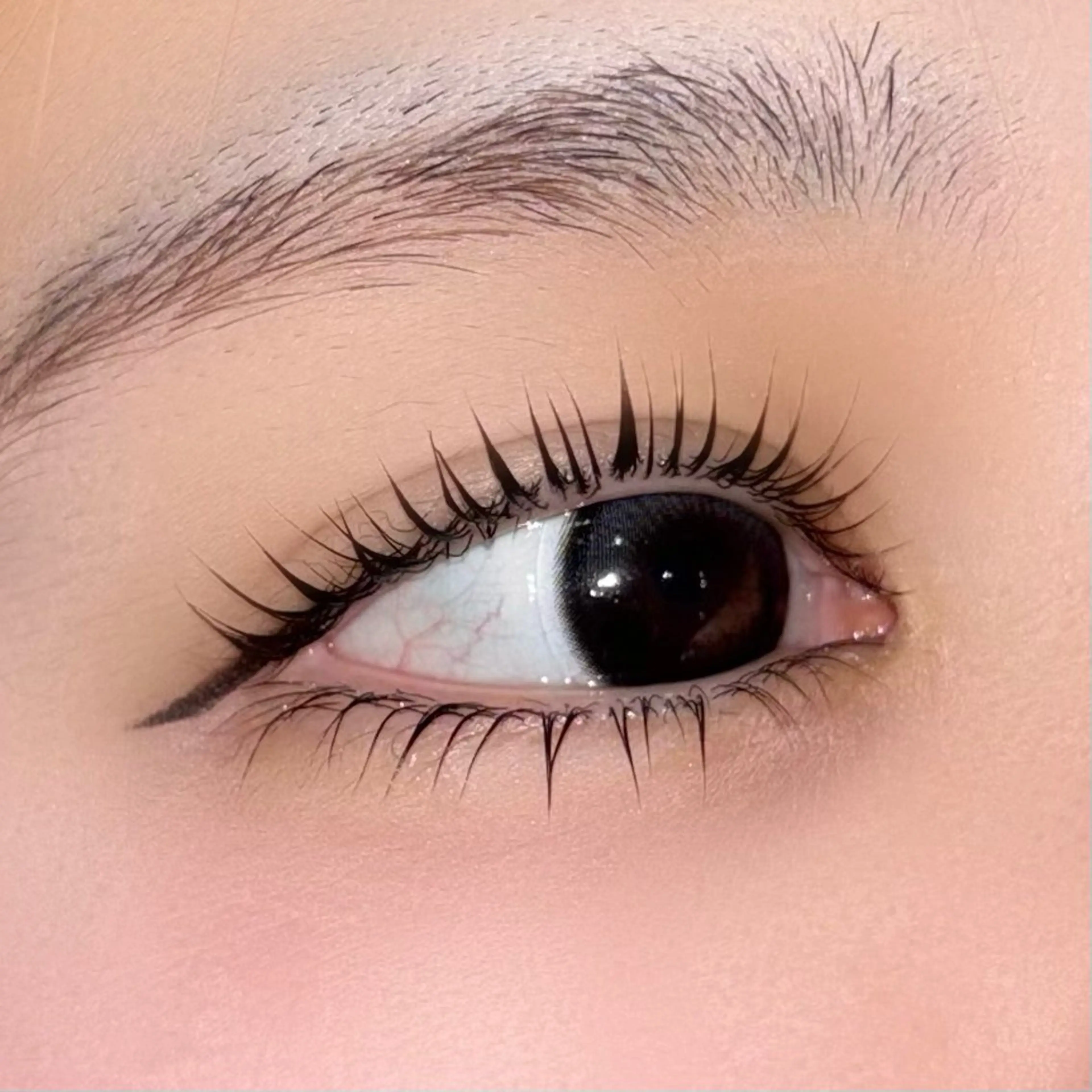 マツエク・マツパ パリジェンヌラッシュリフト まつげパーマ 下まつげエクステ HooK Sayaka🎀のマツエク・マツパデザイン