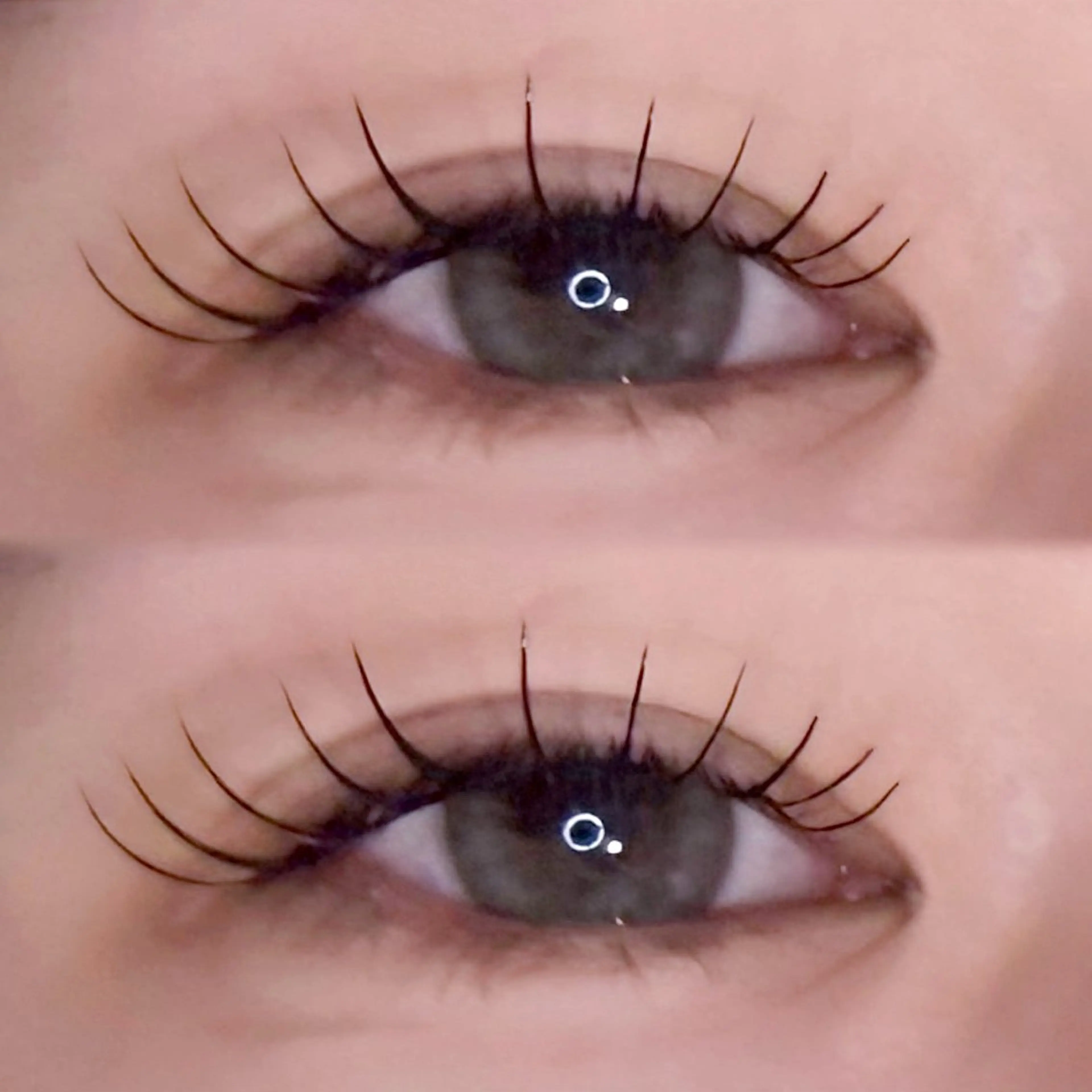 【9日13時30分限定】 フラットラッシュ140本🎀の写真