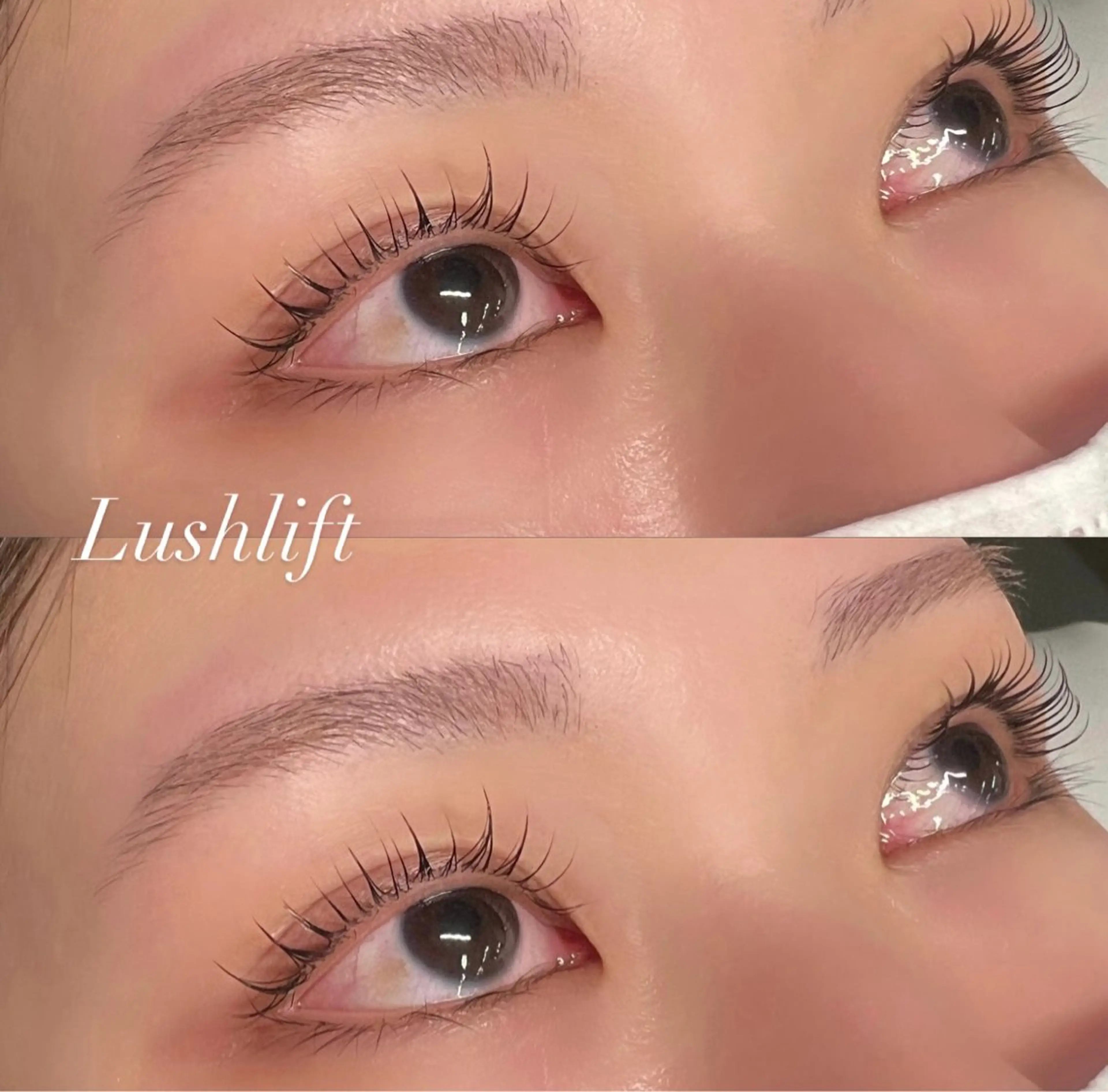 【次世代まつげパーマ】トレンドラッシュリフト🎀¥6500→¥3980の写真