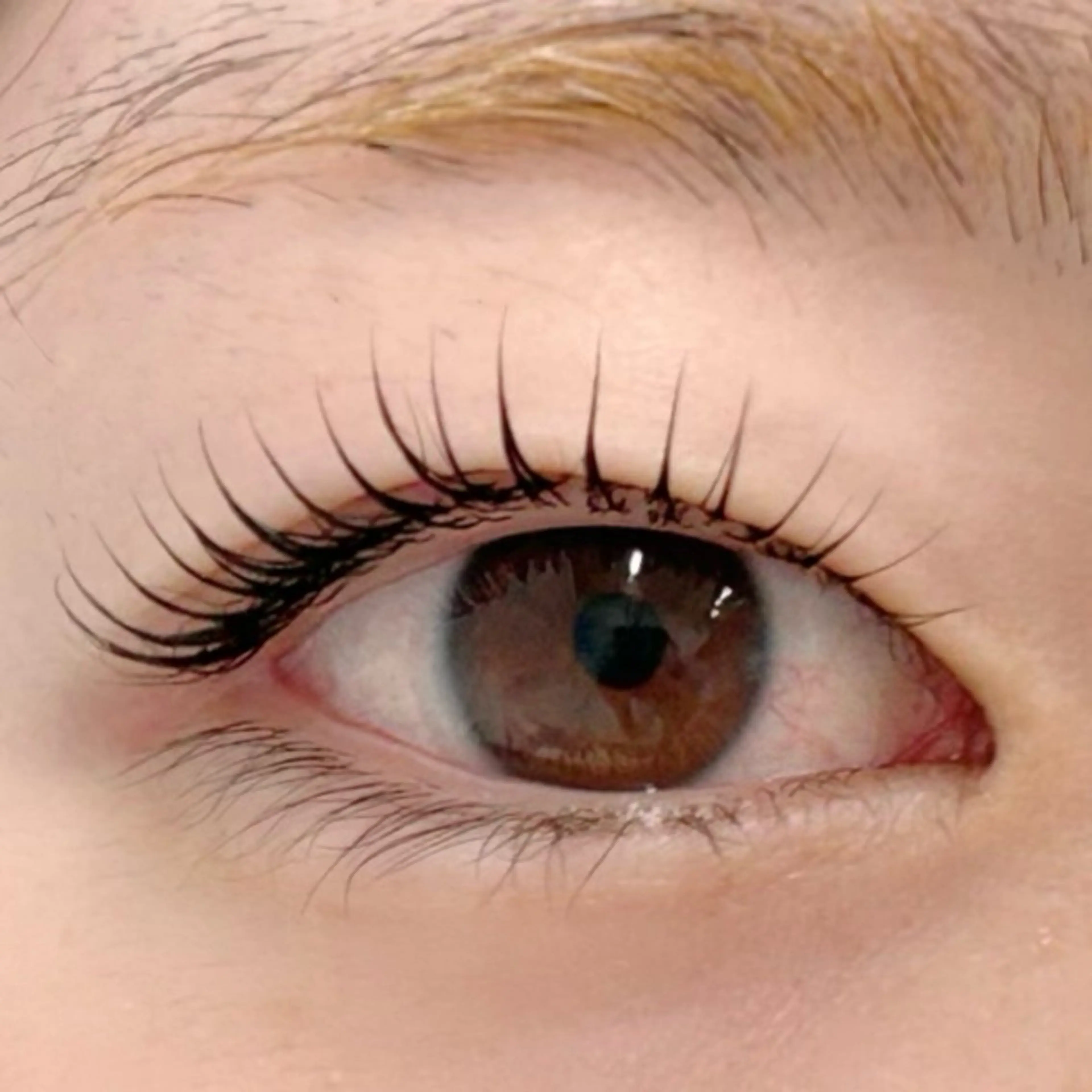 マツエク・マツパ パリジェンヌラッシュリフト 一重×まつ毛パーマ BellFlower Aki（眉・まつげ）のマツエク・マツパデザイン