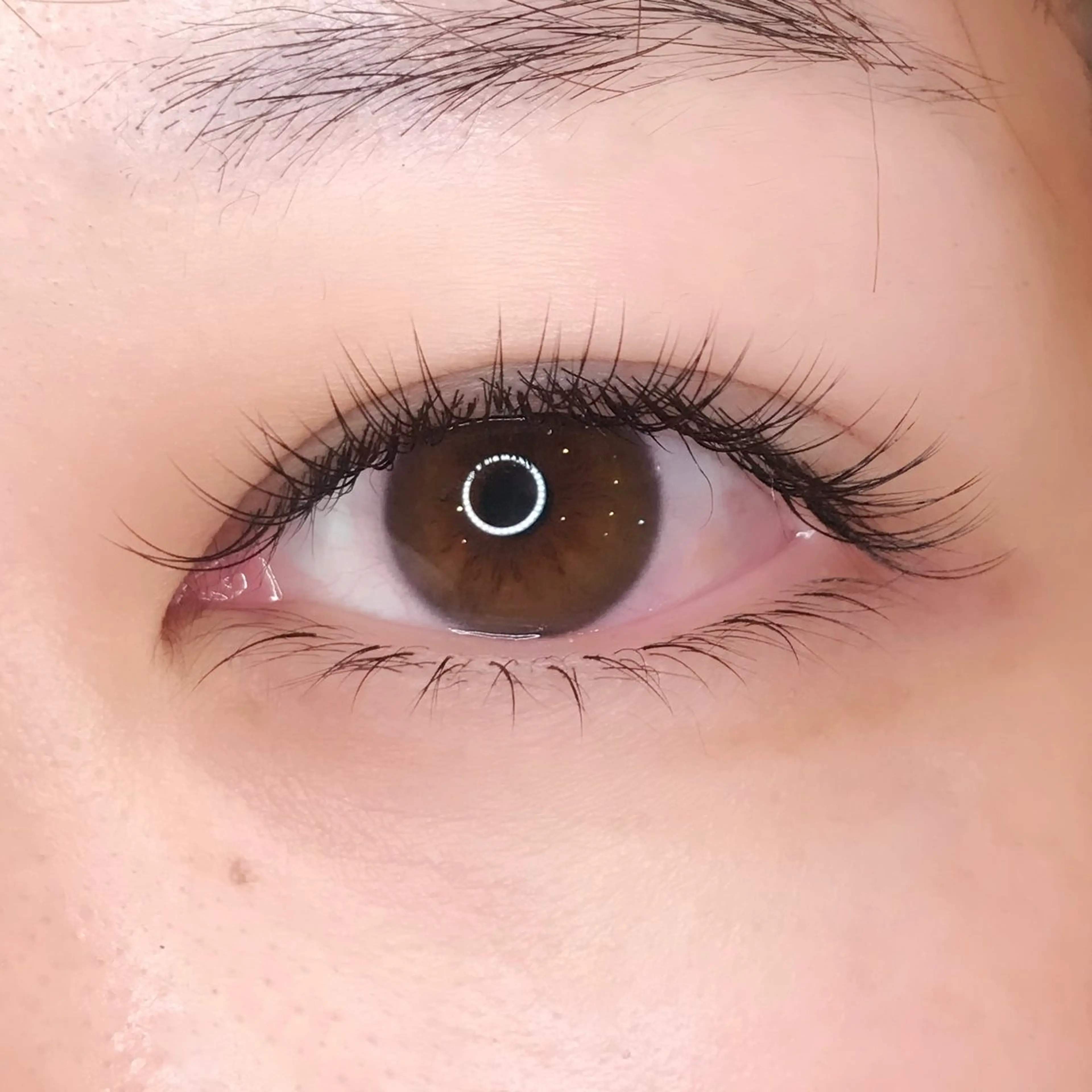 マツエク・マツパ THE BALM🐦 橋本♪のマツエク・マツパデザイン