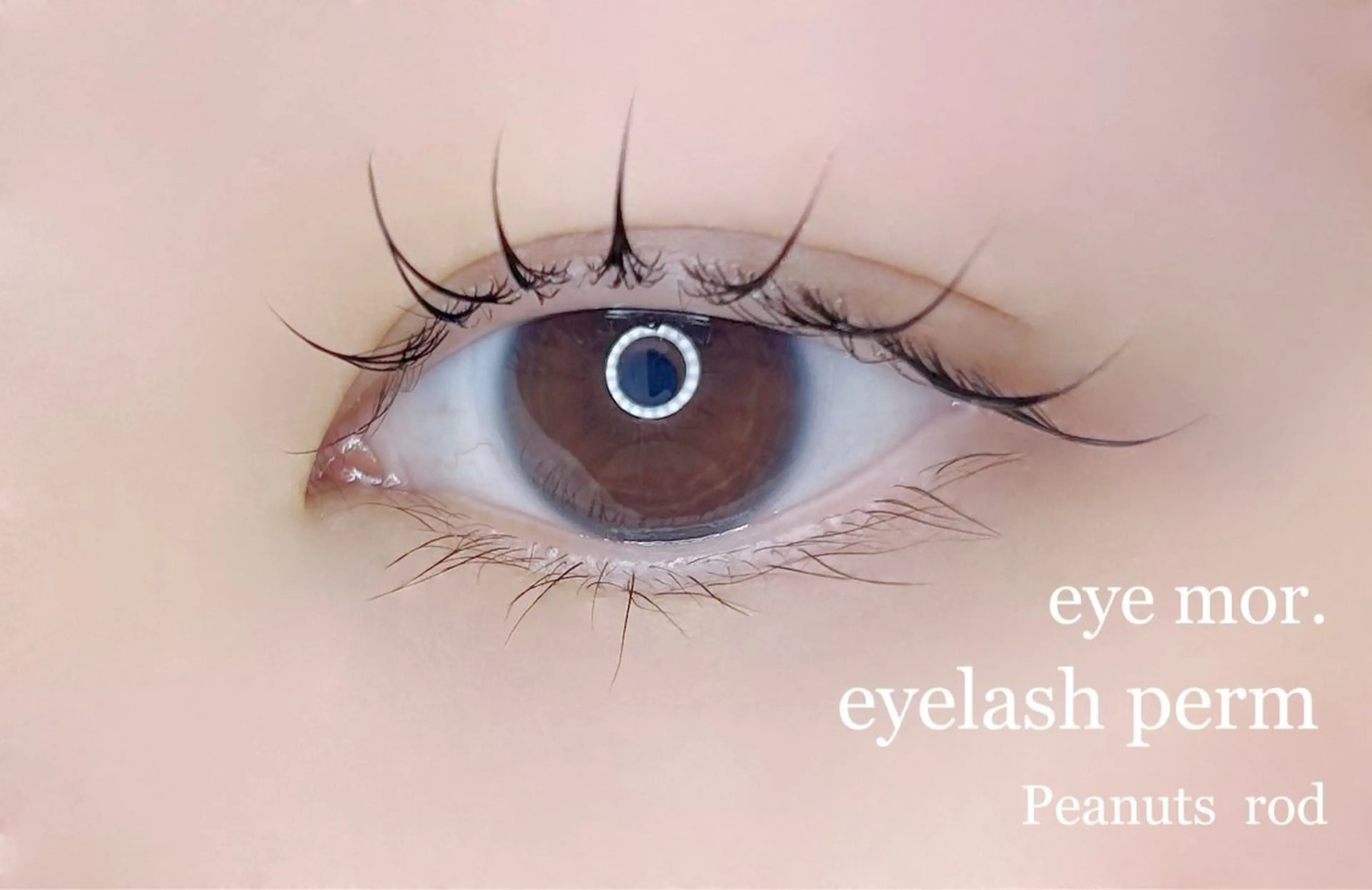 マツエク・マツパ 束感まつ毛 Cカール 一重×まつ毛パーマ eye mor. 村田のマツエク・マツパデザイン