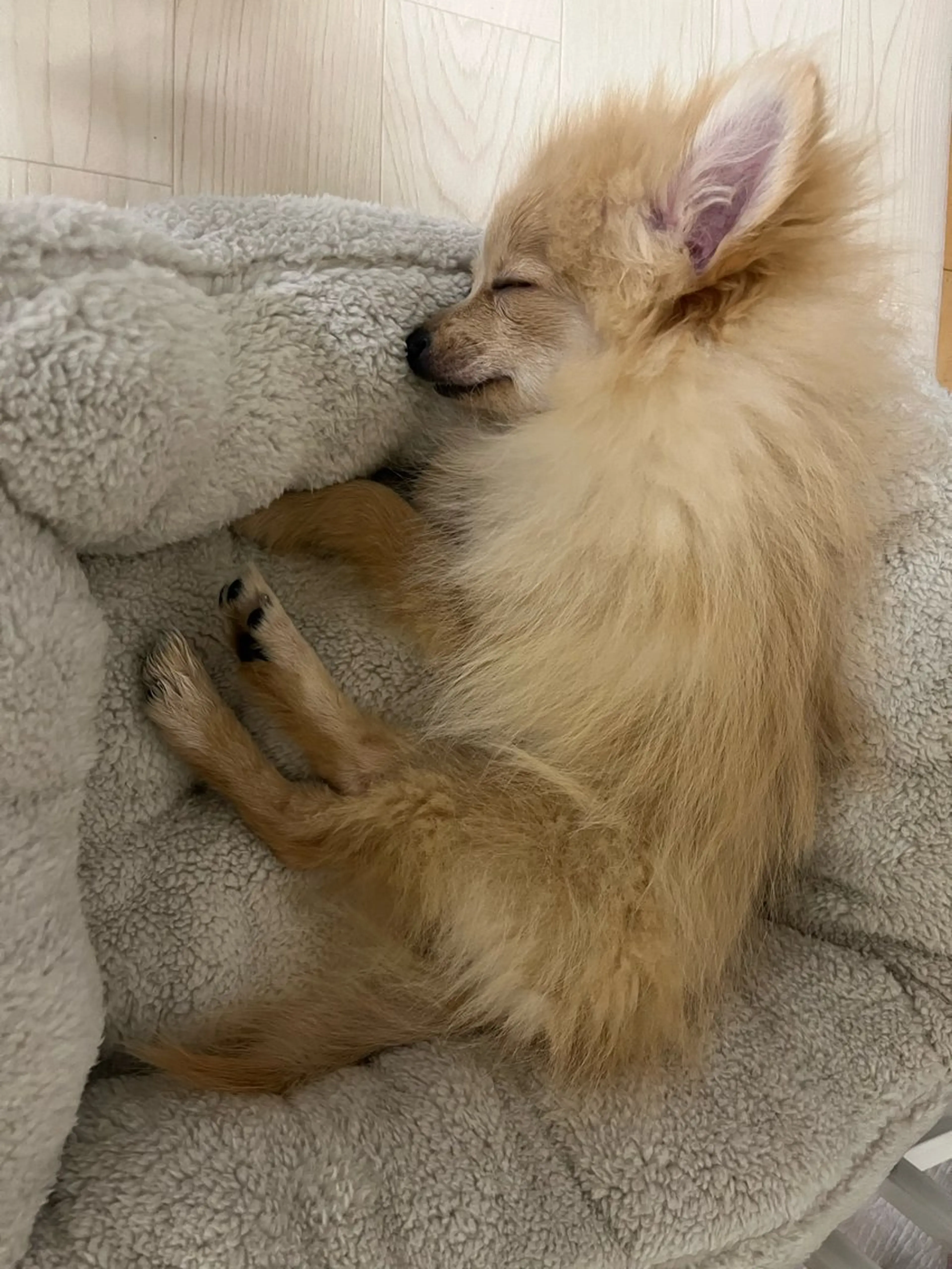 Sona hair & eyelash salon所属・紙屋 隼人のヘアスタイル