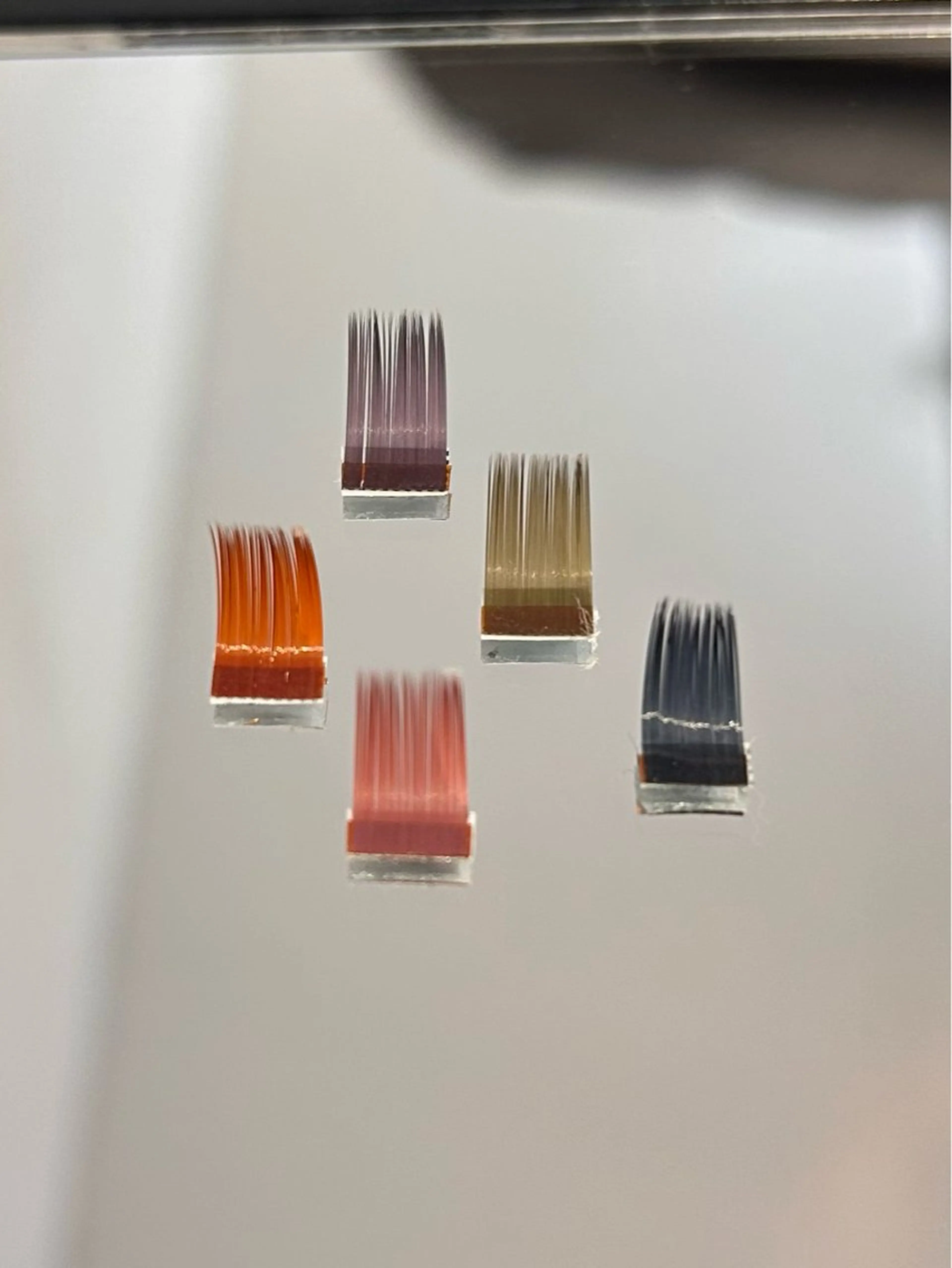 マツエク・マツパ BK-EYELASH所属・BKeyelash⠀ asukaの眉毛・アイブロウイメージ