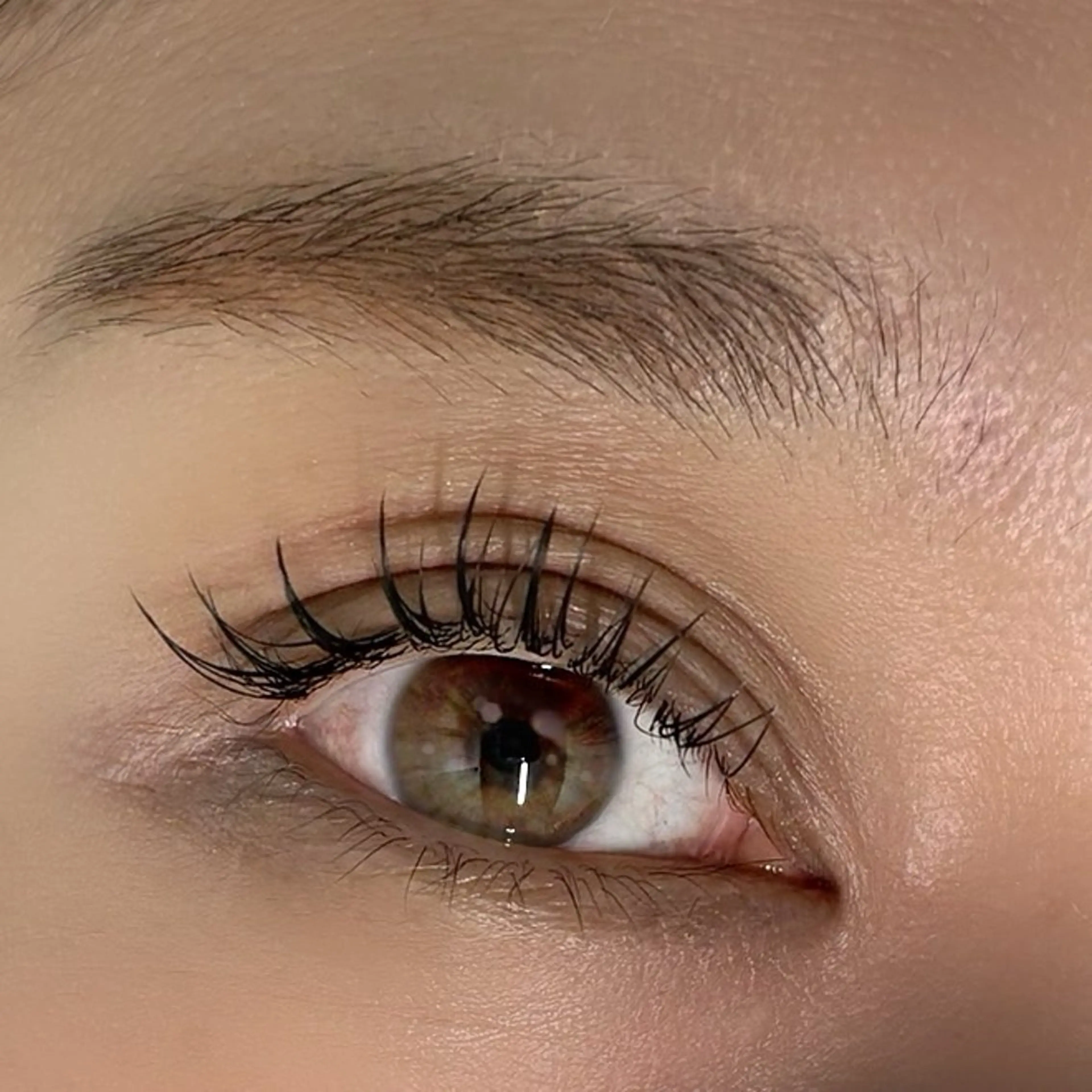 シングルラッシュ/100本の写真