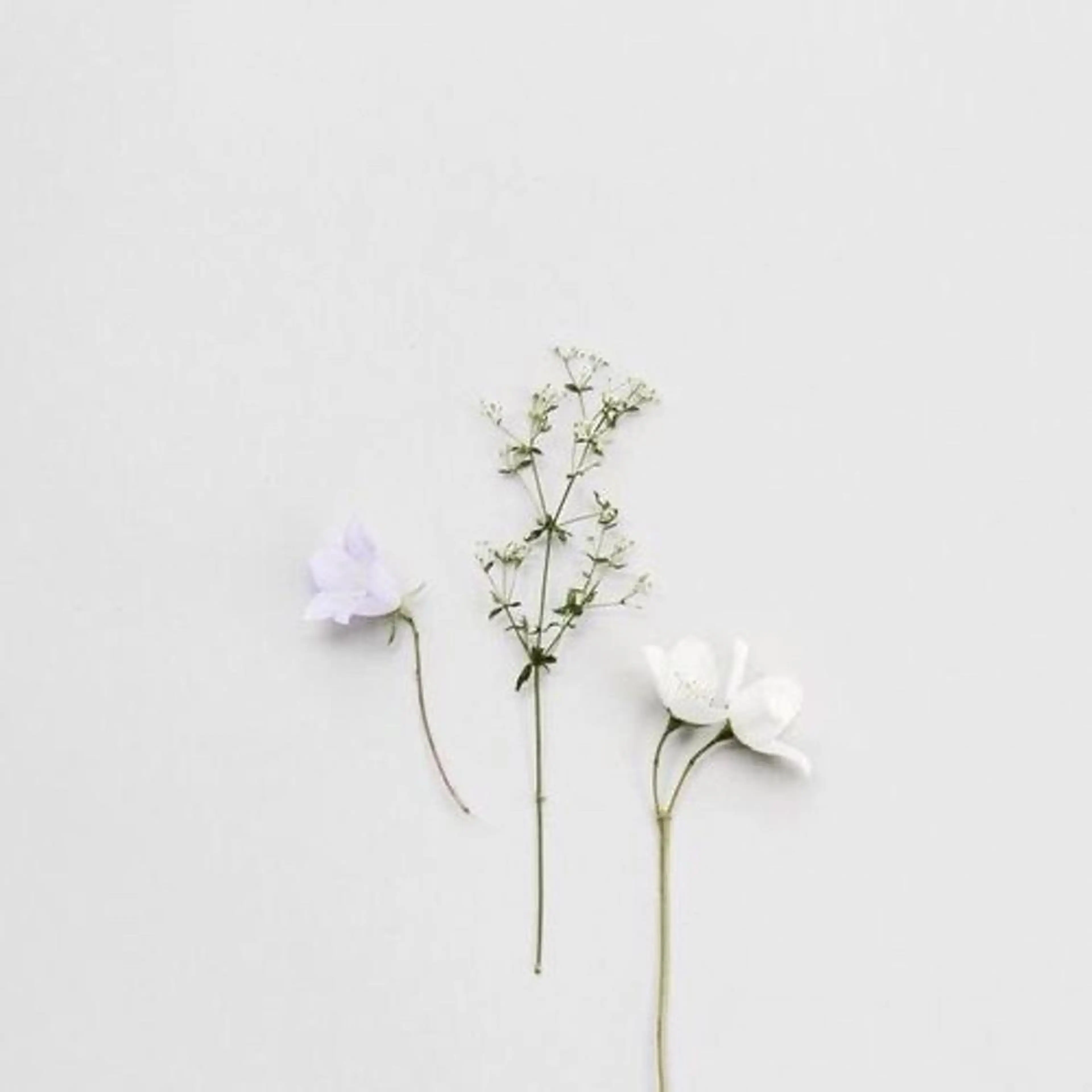 メンズ マツエク・マツパ アイブロウ Lash&brow PORTE269布施店所属・brace 竹田愛海のエステ・リラクイメージ