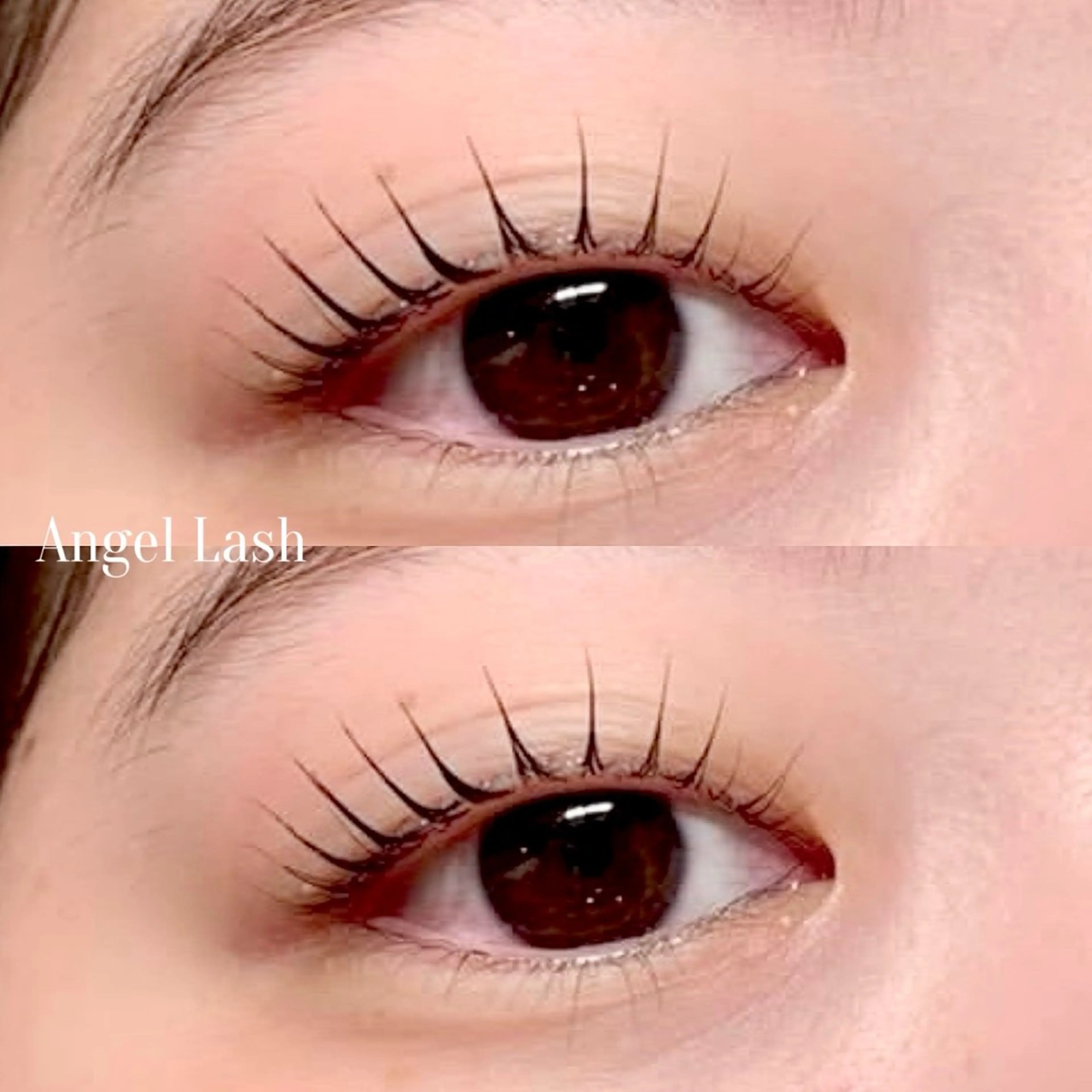 マツエク・マツパ 束感まつ毛 パリジェンヌラッシュリフト THE EYEBROW 「ザ・アイブロウ」大宮店所属・sugimachi 🦋のマツエク・マツパデザイン