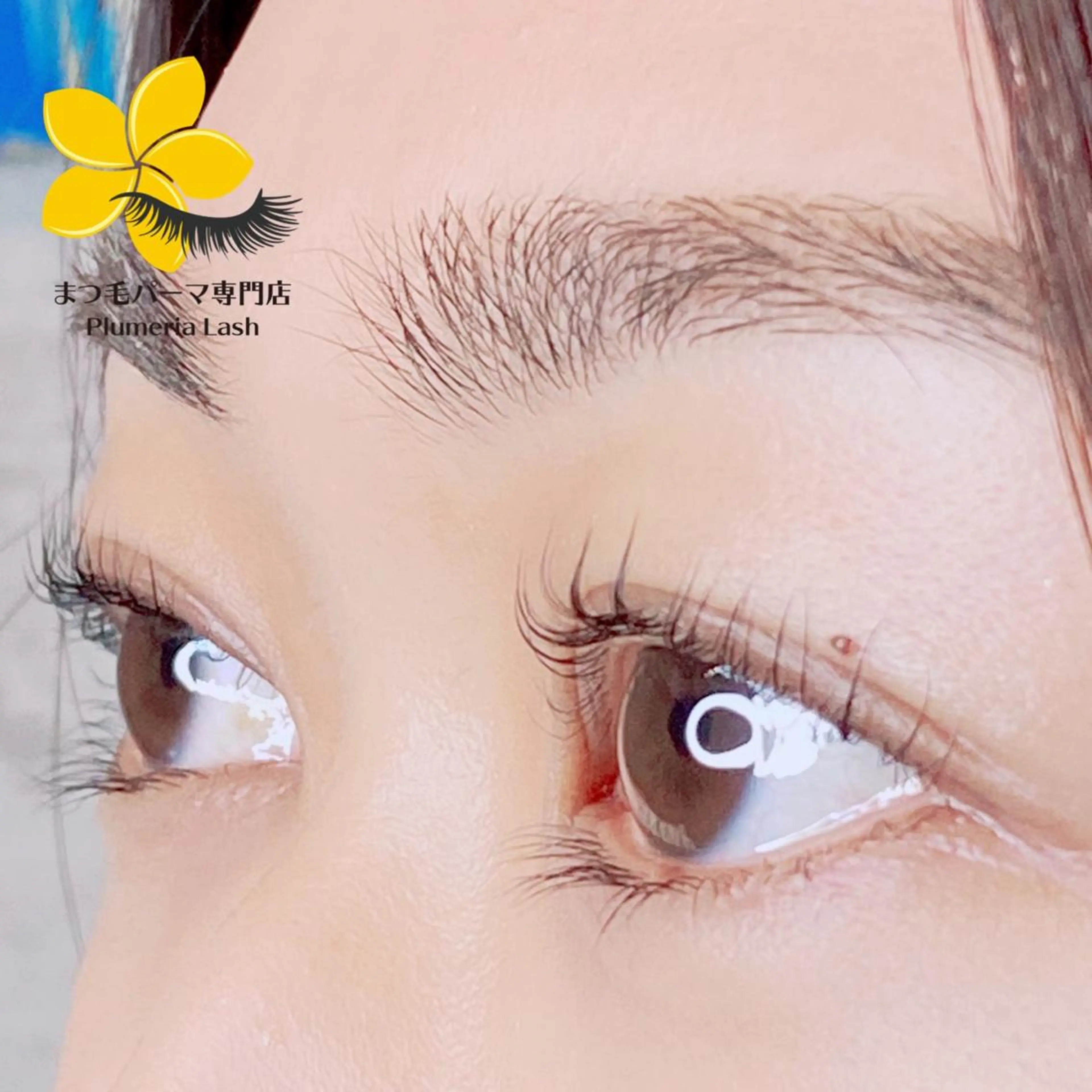 マツエク・マツパ Plumeria Lash 越谷店のマツエク・マツパデザイン