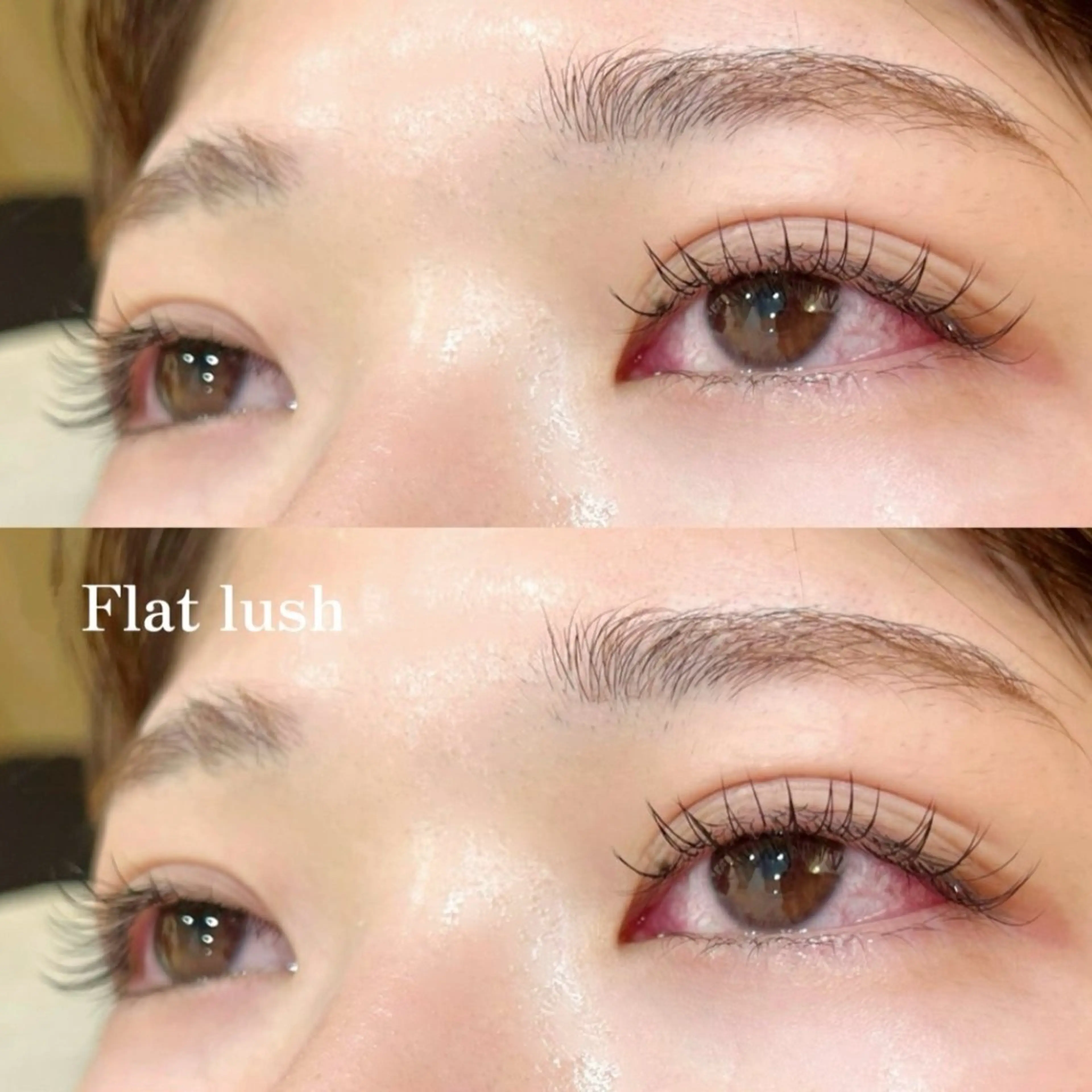 マツエク・マツパ マツエク ANEW 目黒 ハルカ🦢🫧のマツエク・マツパデザイン