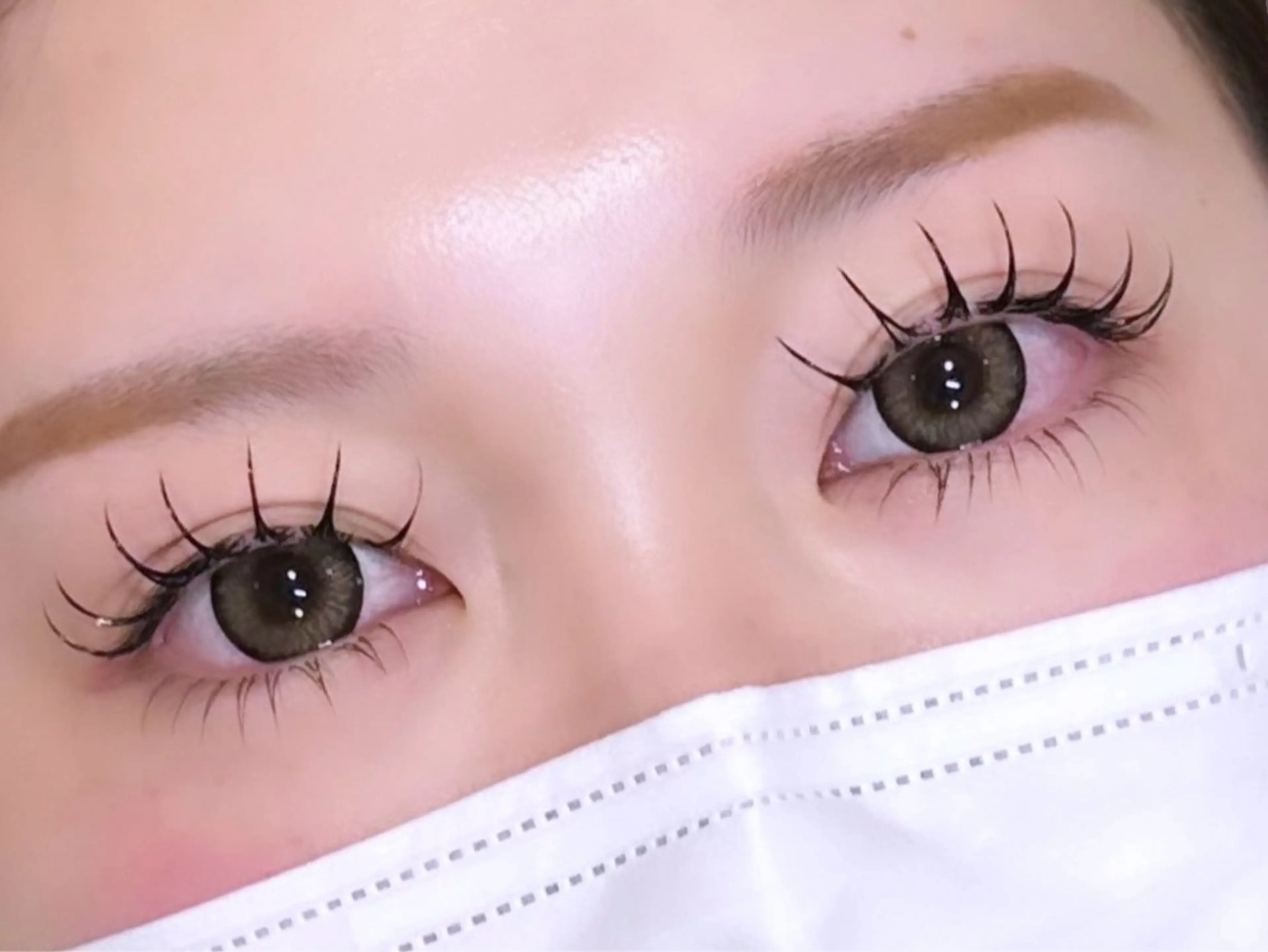 🧸下まつげエクステ 【30本】🧸の写真