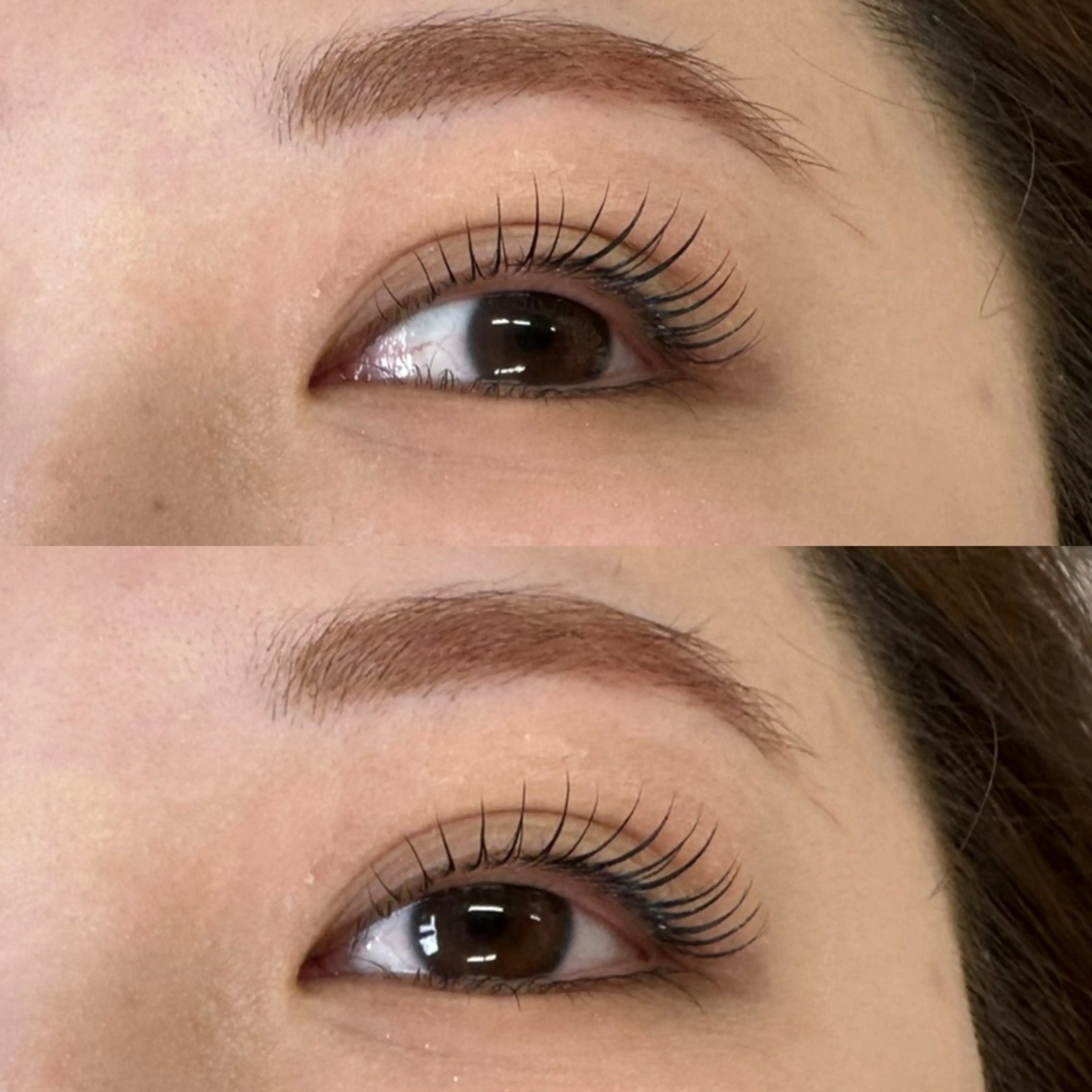 マツエク・マツパ shucre栄店 🦋RUKA🦋のマツエク・マツパデザイン