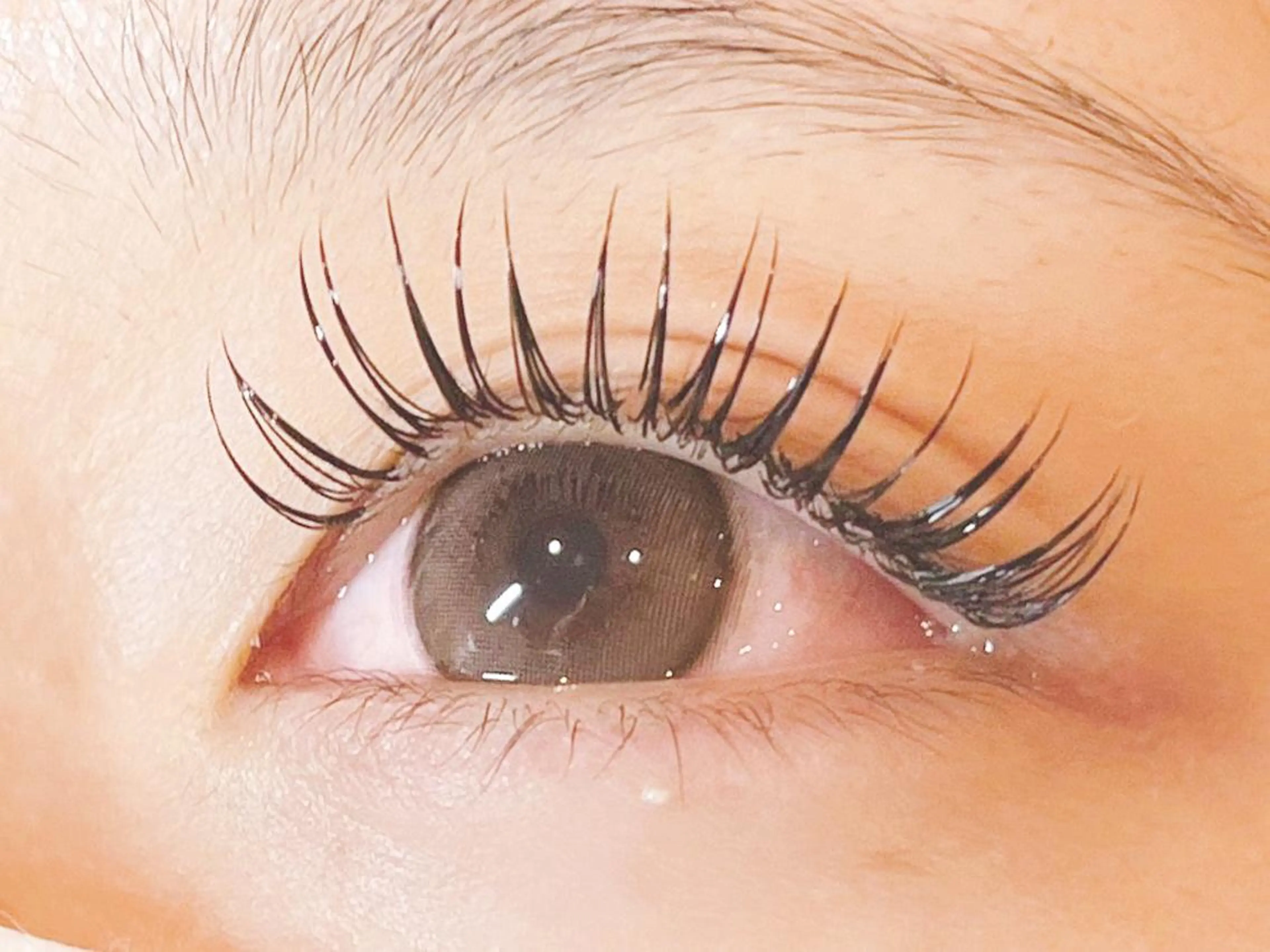 フラットラッシュ付け放題の写真