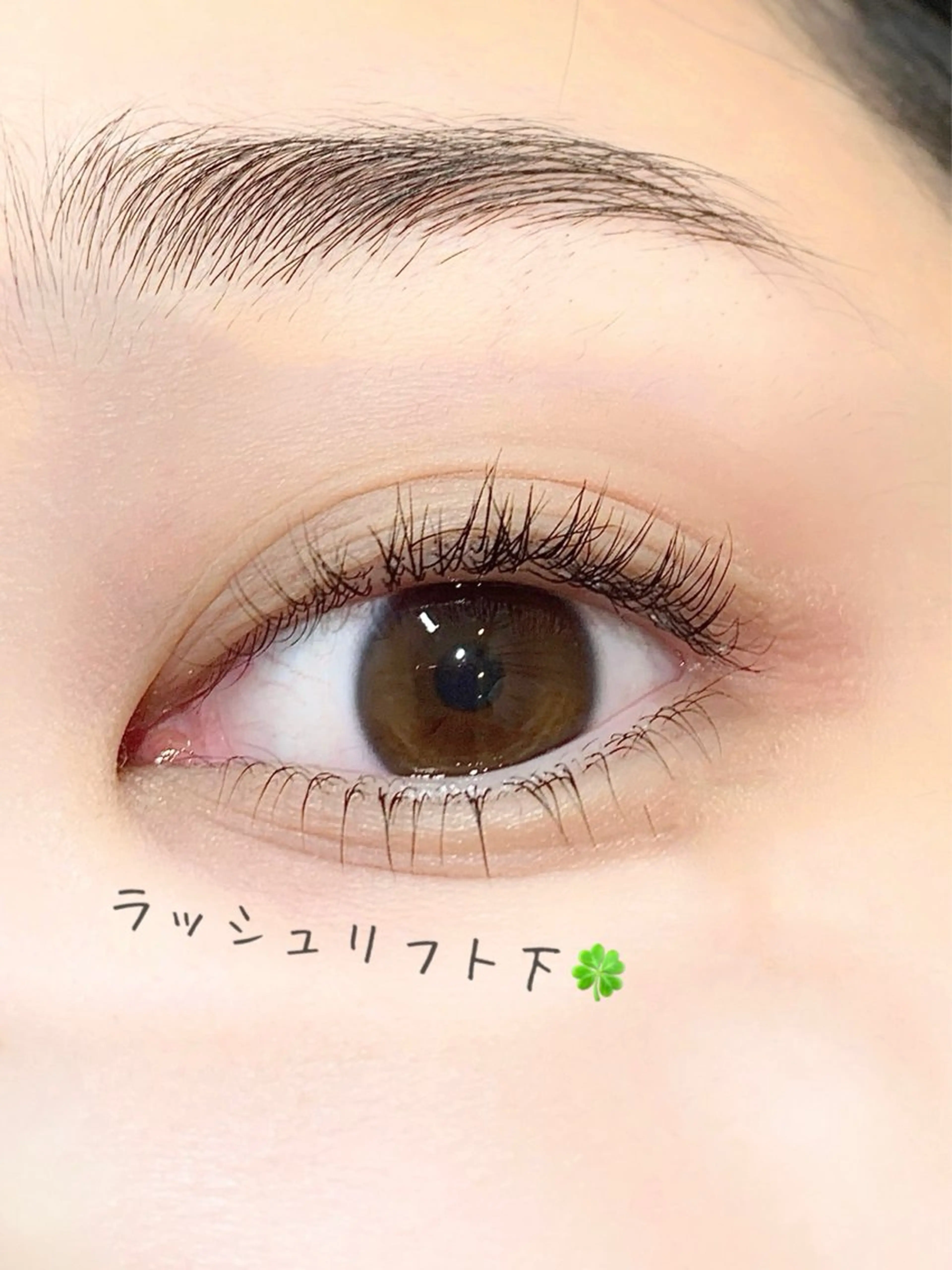 ラッシュリフト　下まつ毛のみ👀✨の写真