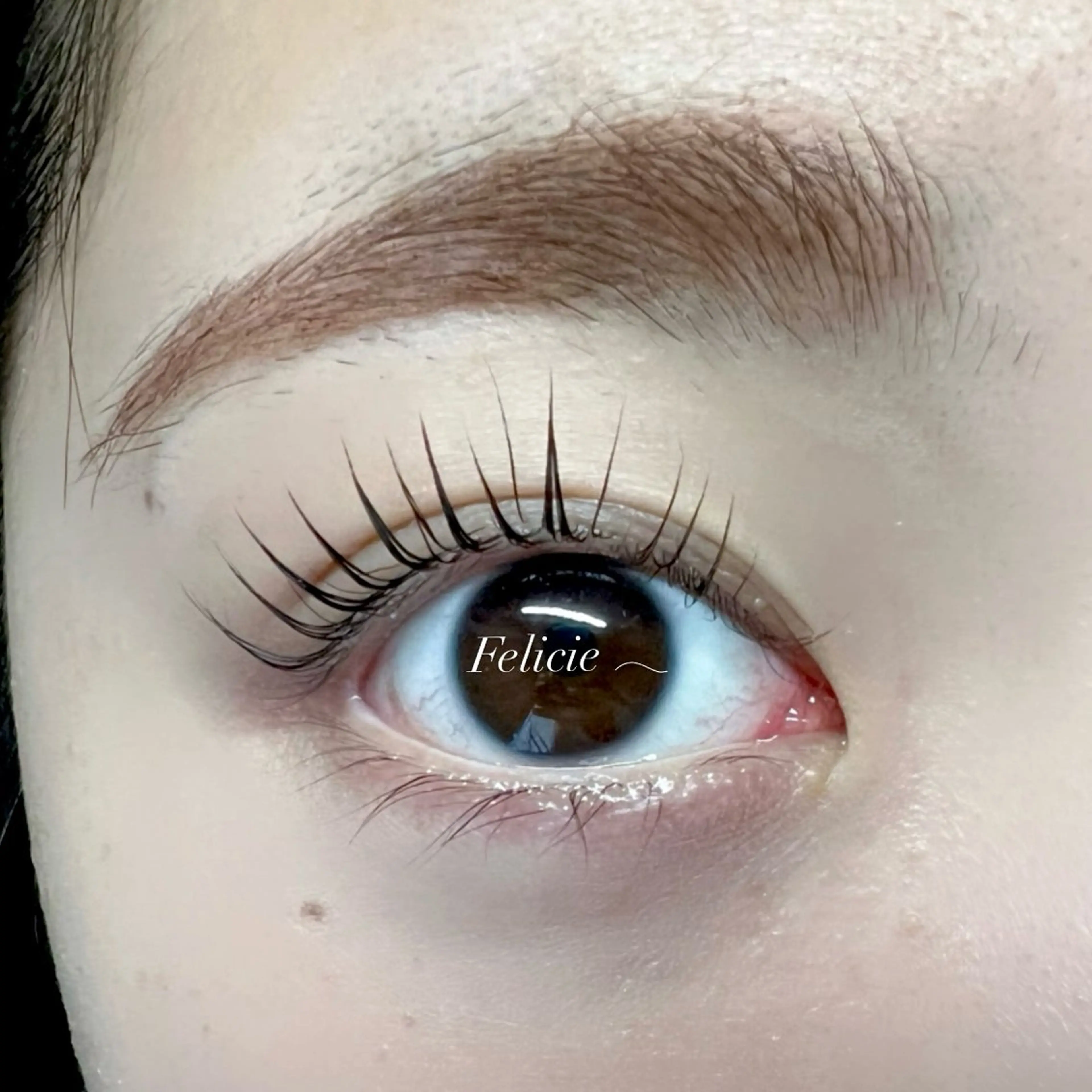 マツエク・マツパ パリジェンヌラッシュリフト マツパ Felicie＊ Sayakaのマツエク・マツパデザイン