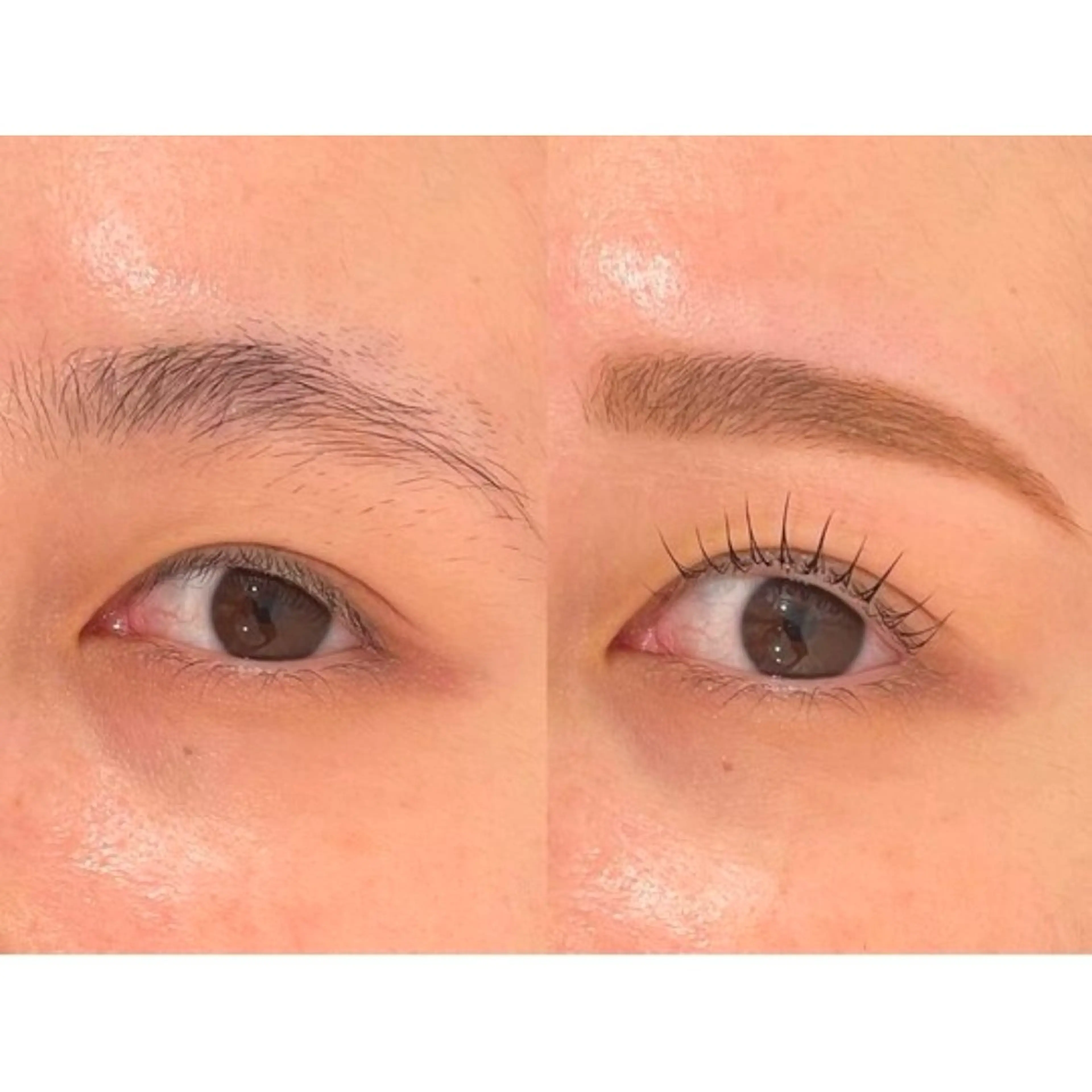 【再来】✨️ハリウッドブロウリフト✨️次世代アイブロウ🩶の写真